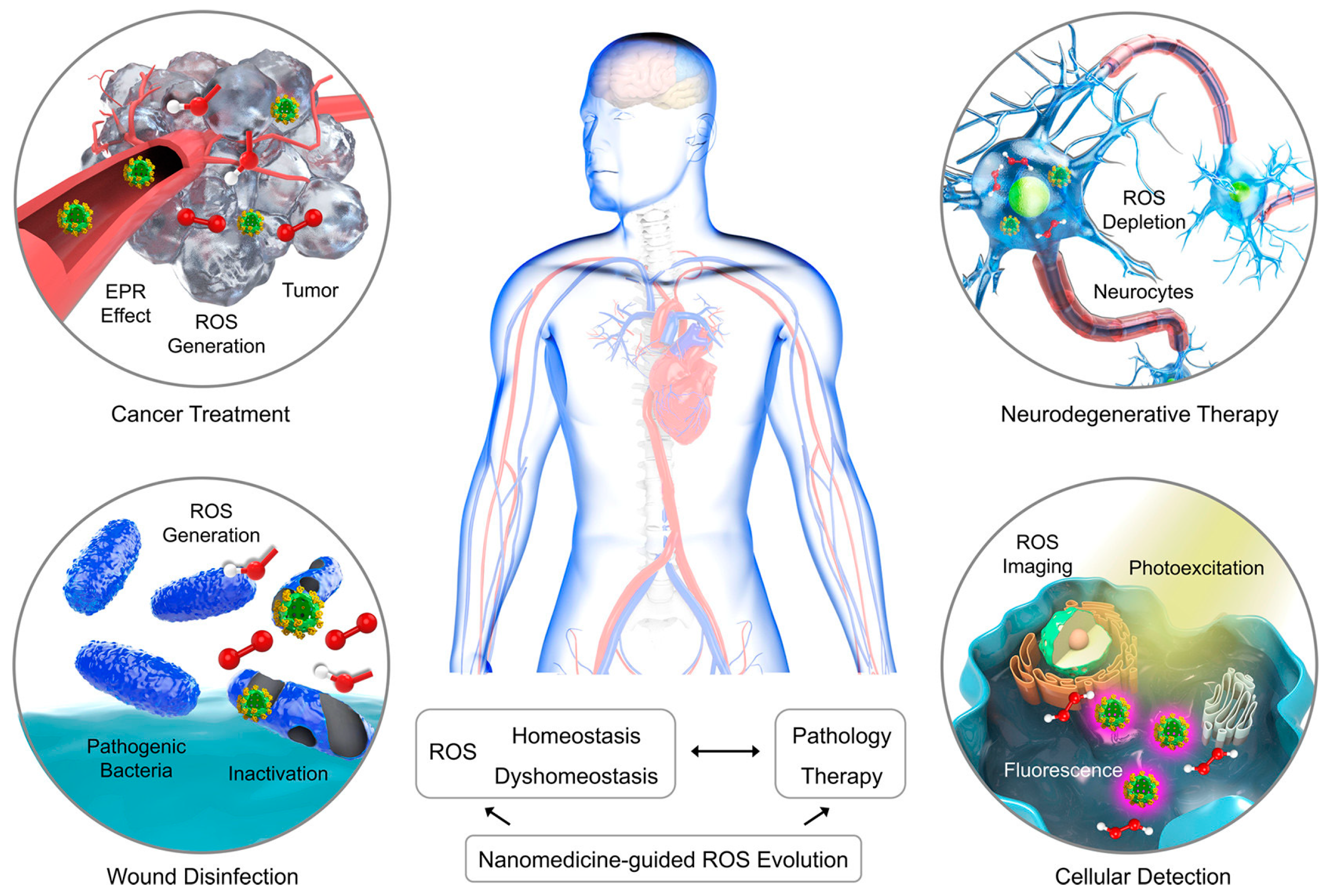 Ijms 24 13342 g008 Ijms 24 13342 g008