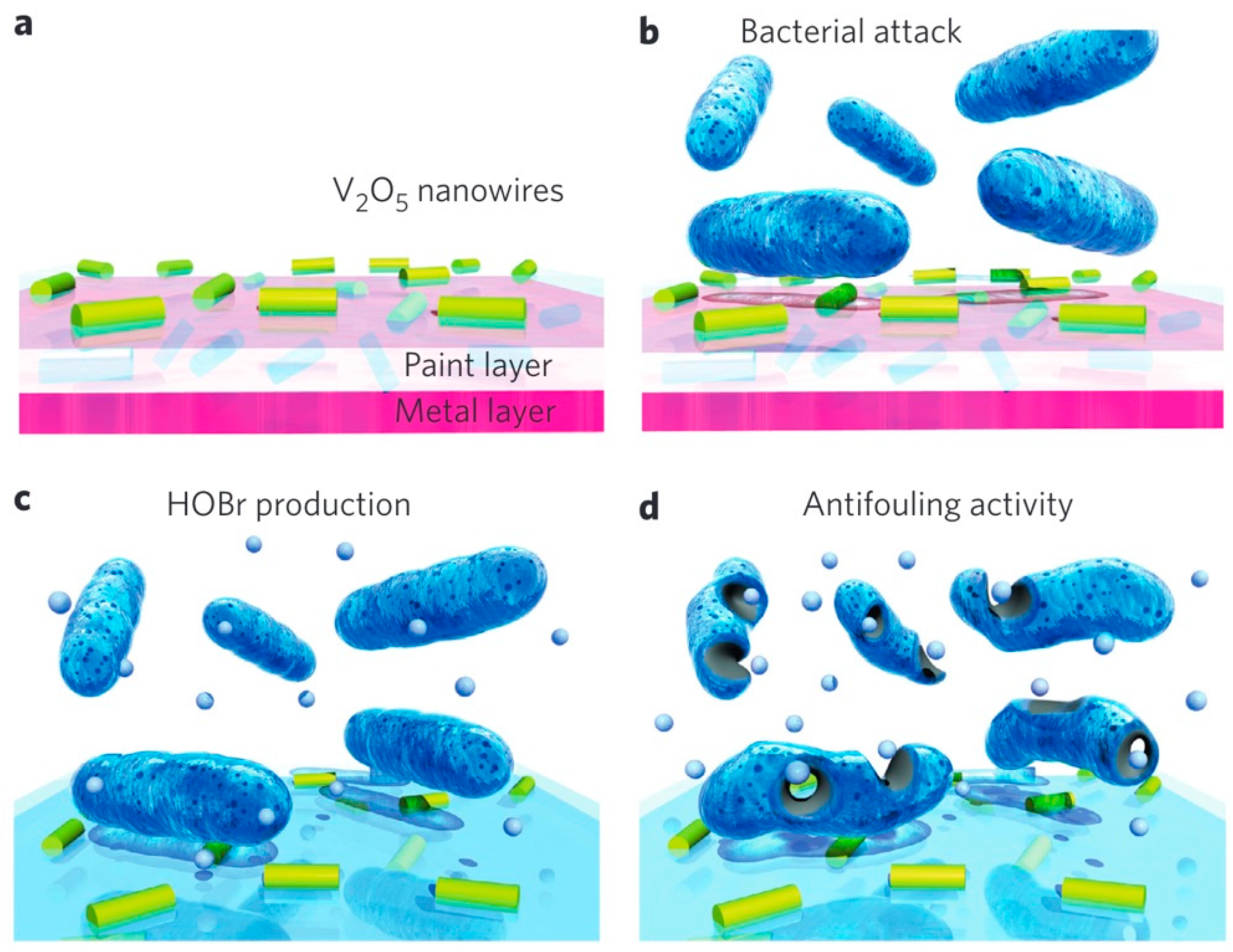 Ijms 24 13342 g009 Ijms 24 13342 g009