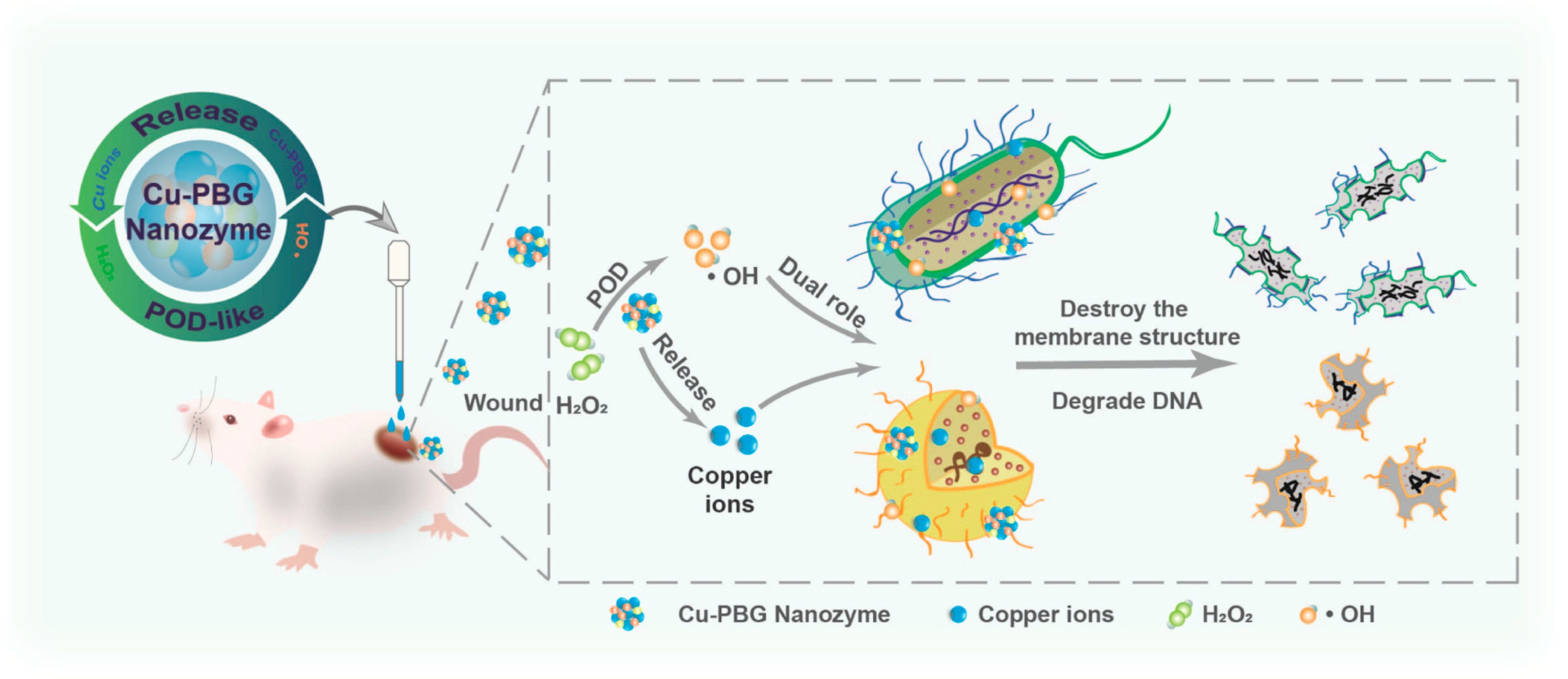 Ijms 24 13342 g012 Ijms 24 13342 g012