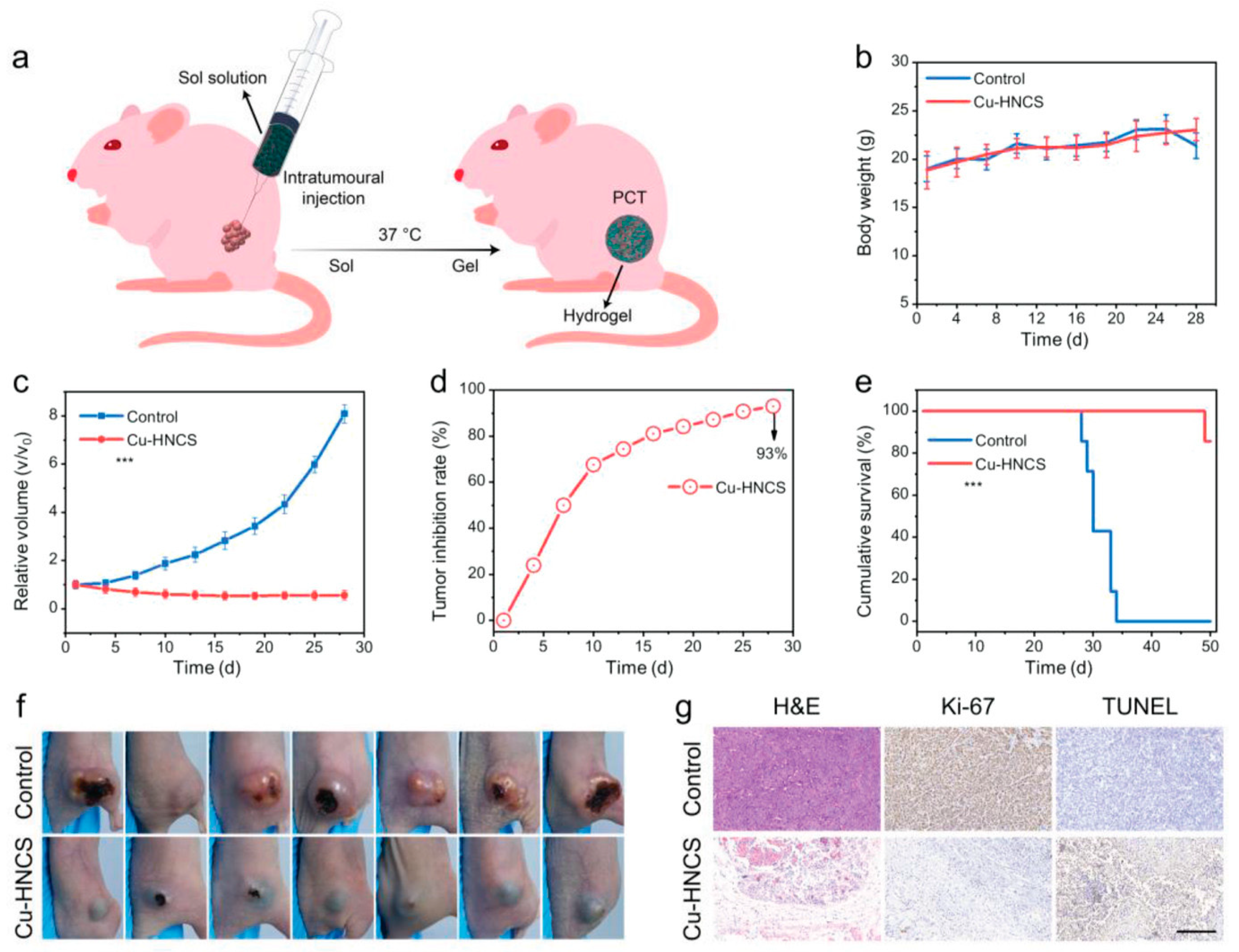 Ijms 24 13342 g013 Ijms 24 13342 g013