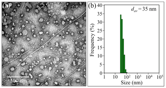 In Situ Raman Study of Neurodegenerated Human Neuroblastoma