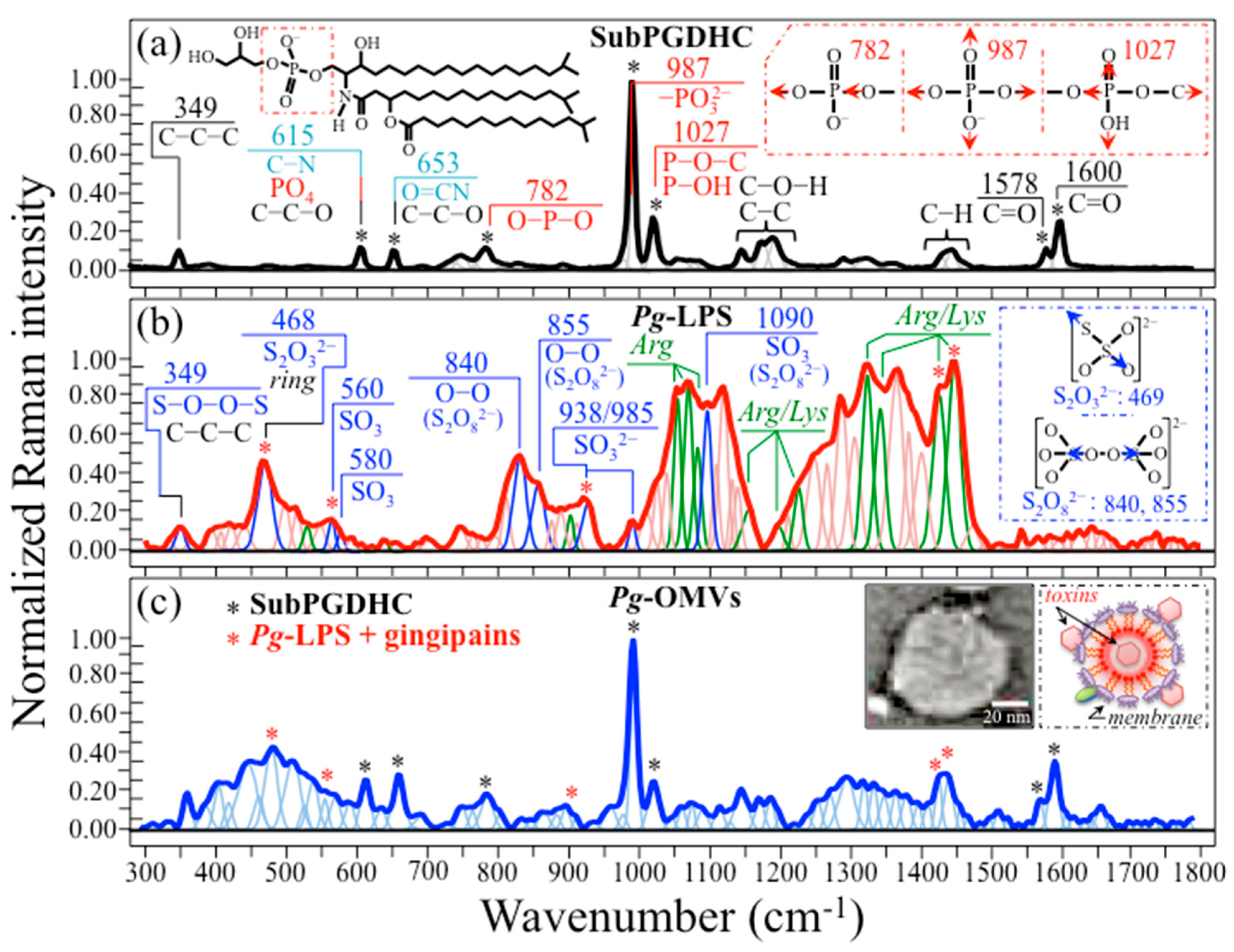 Ijms 24 13351 g004 Ijms 24 13351 g004