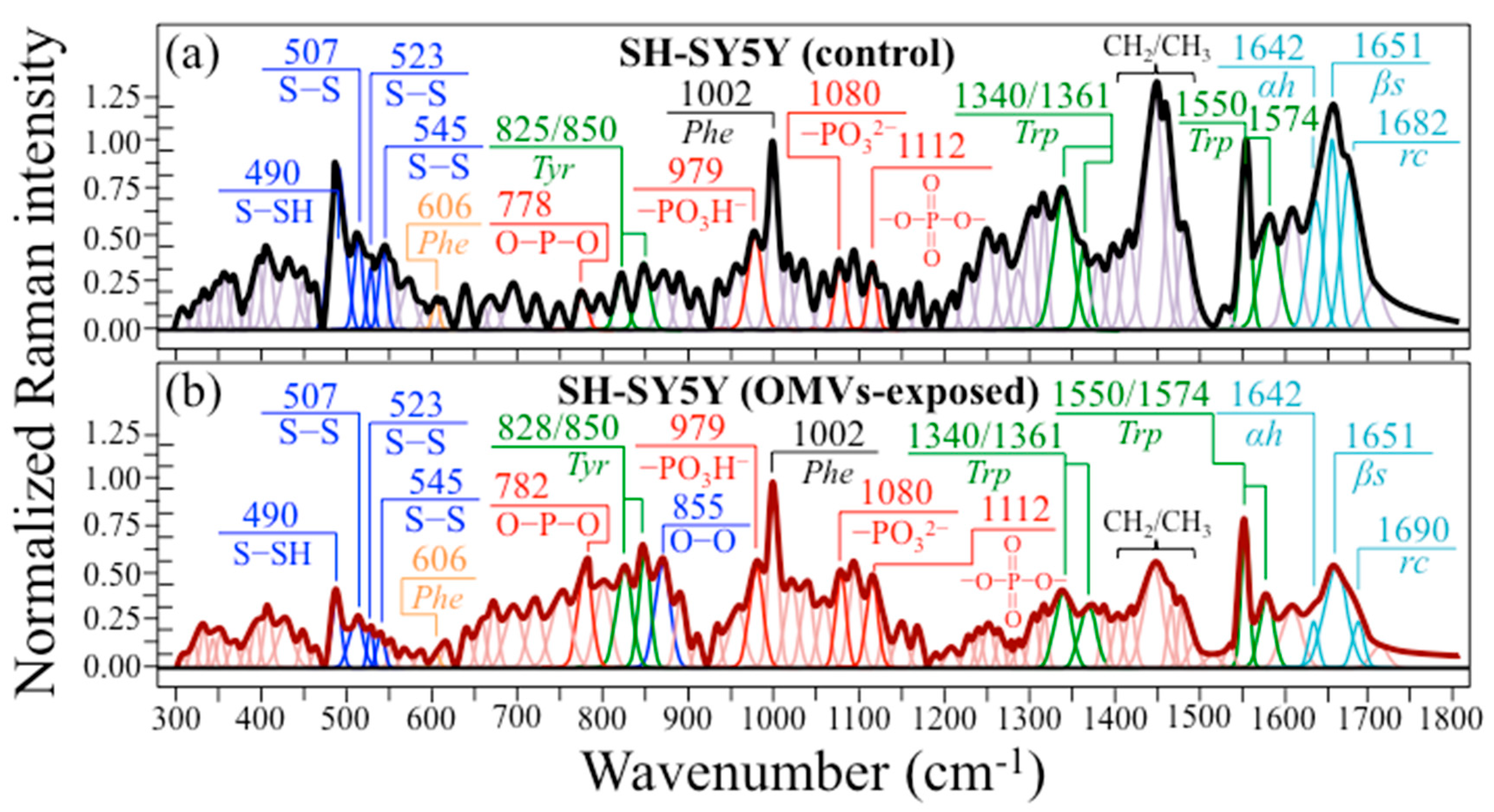 Ijms 24 13351 g007 Ijms 24 13351 g007