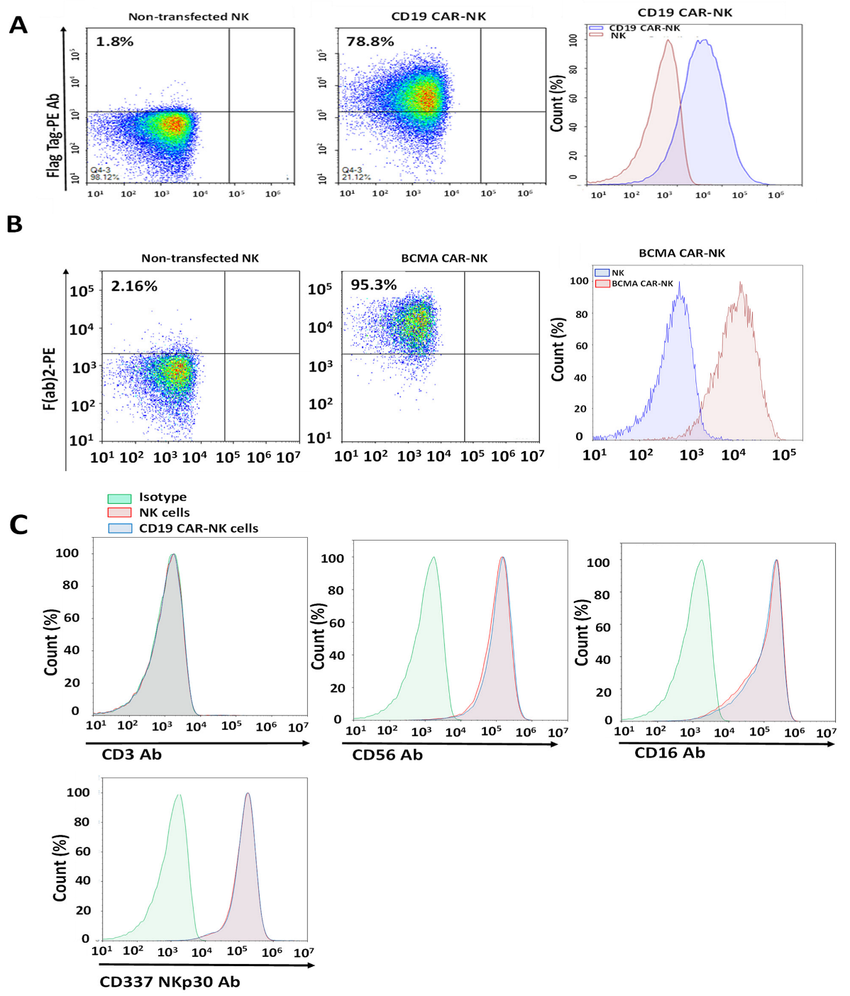 Ijms 24 13364 g002 Ijms 24 13364 g002
