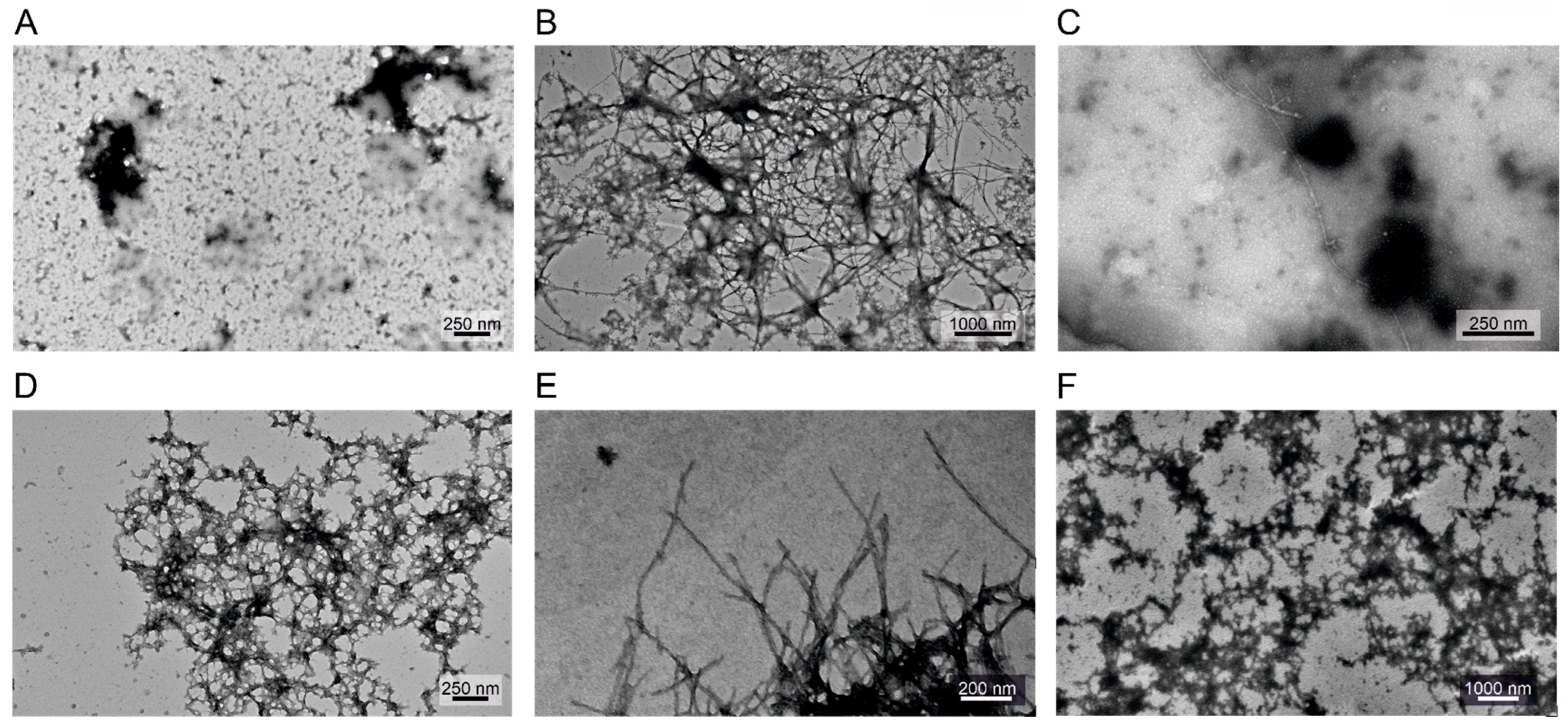 Ijms 24 13403 g007 Ijms 24 13403 g007