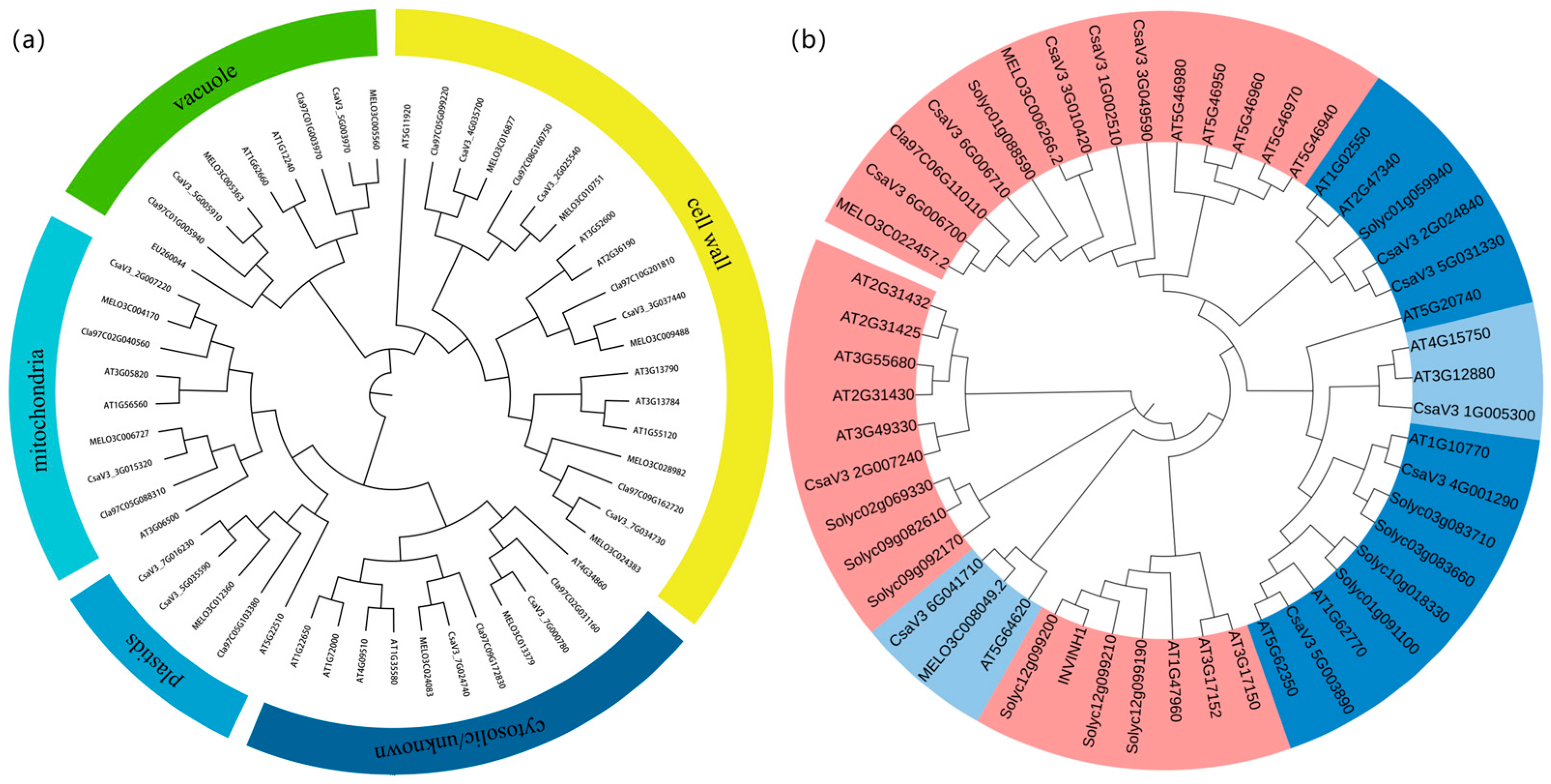 Ijms 24 13421 g002 Ijms 24 13421 g002