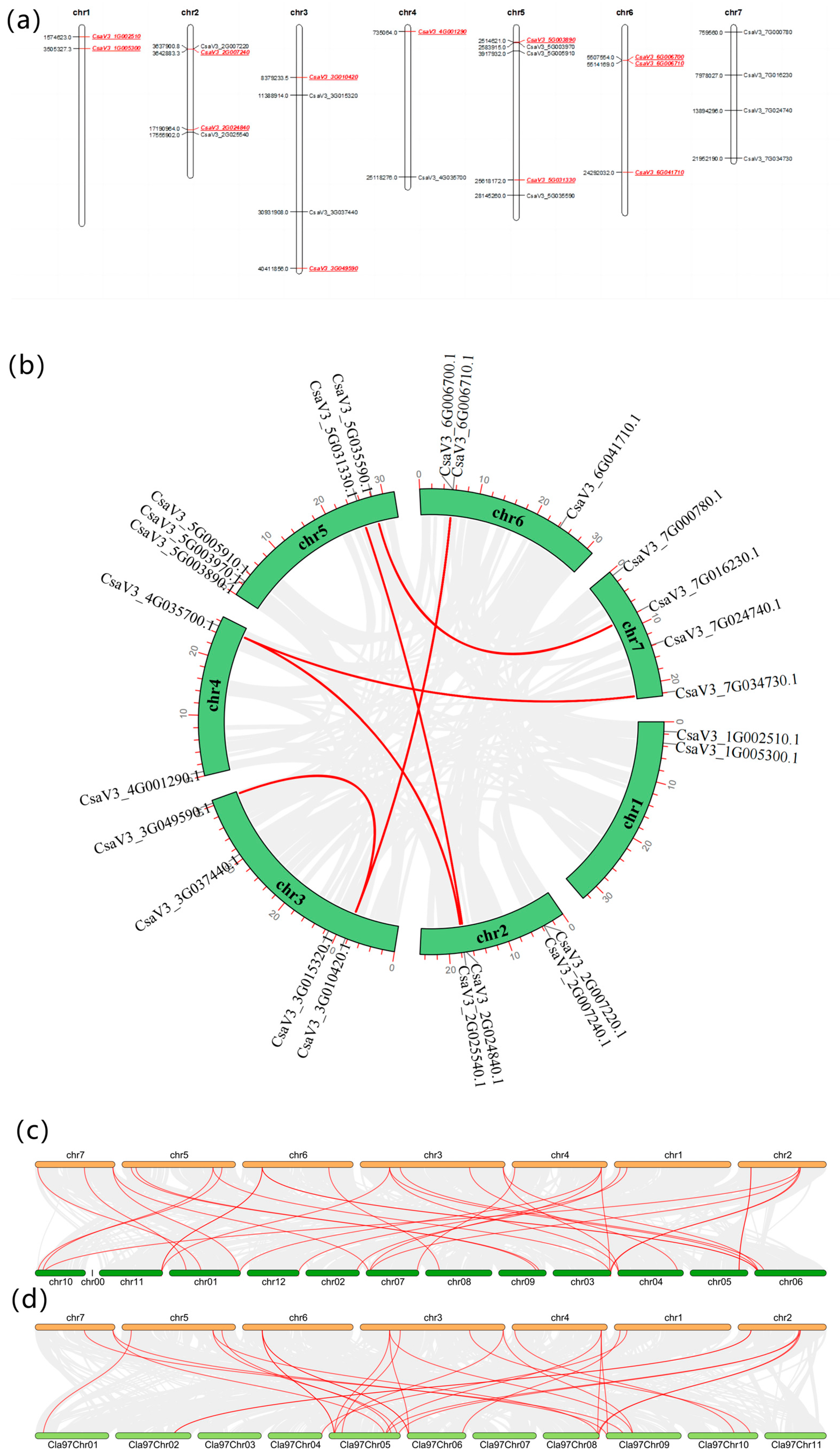 Ijms 24 13421 g003 Ijms 24 13421 g003