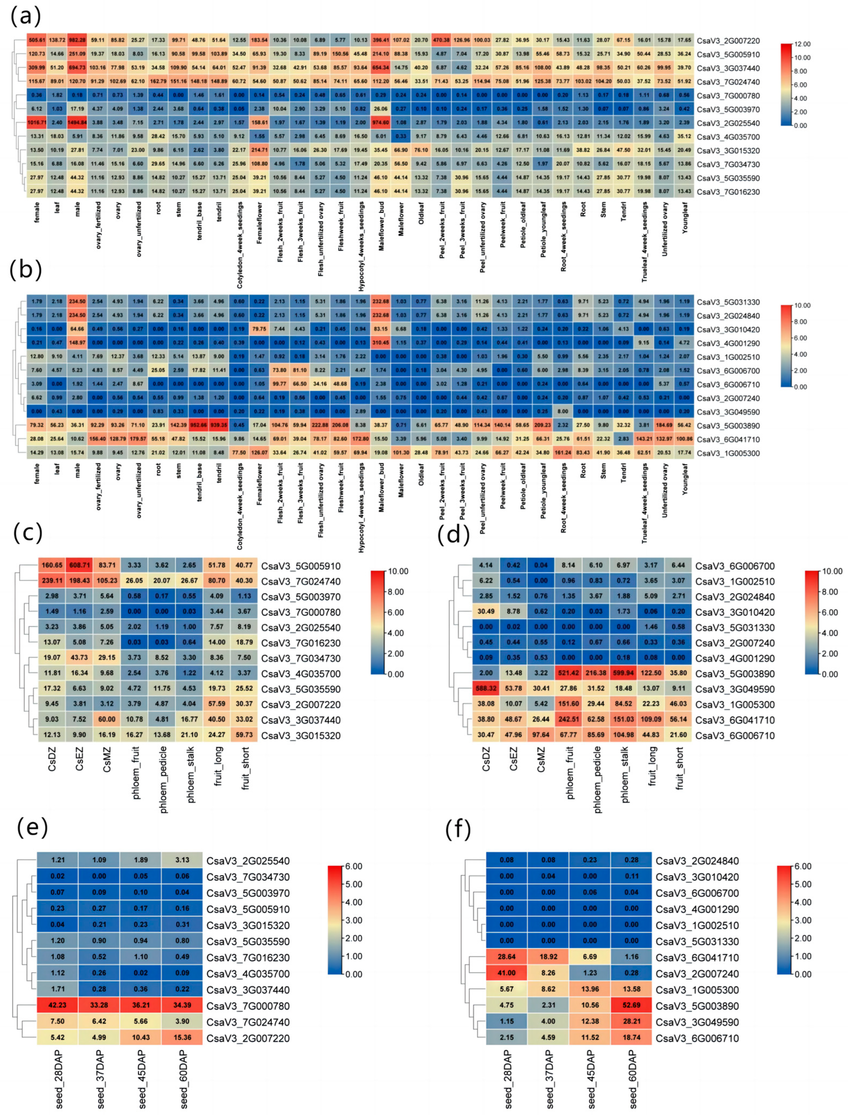 Ijms 24 13421 g004 Ijms 24 13421 g004