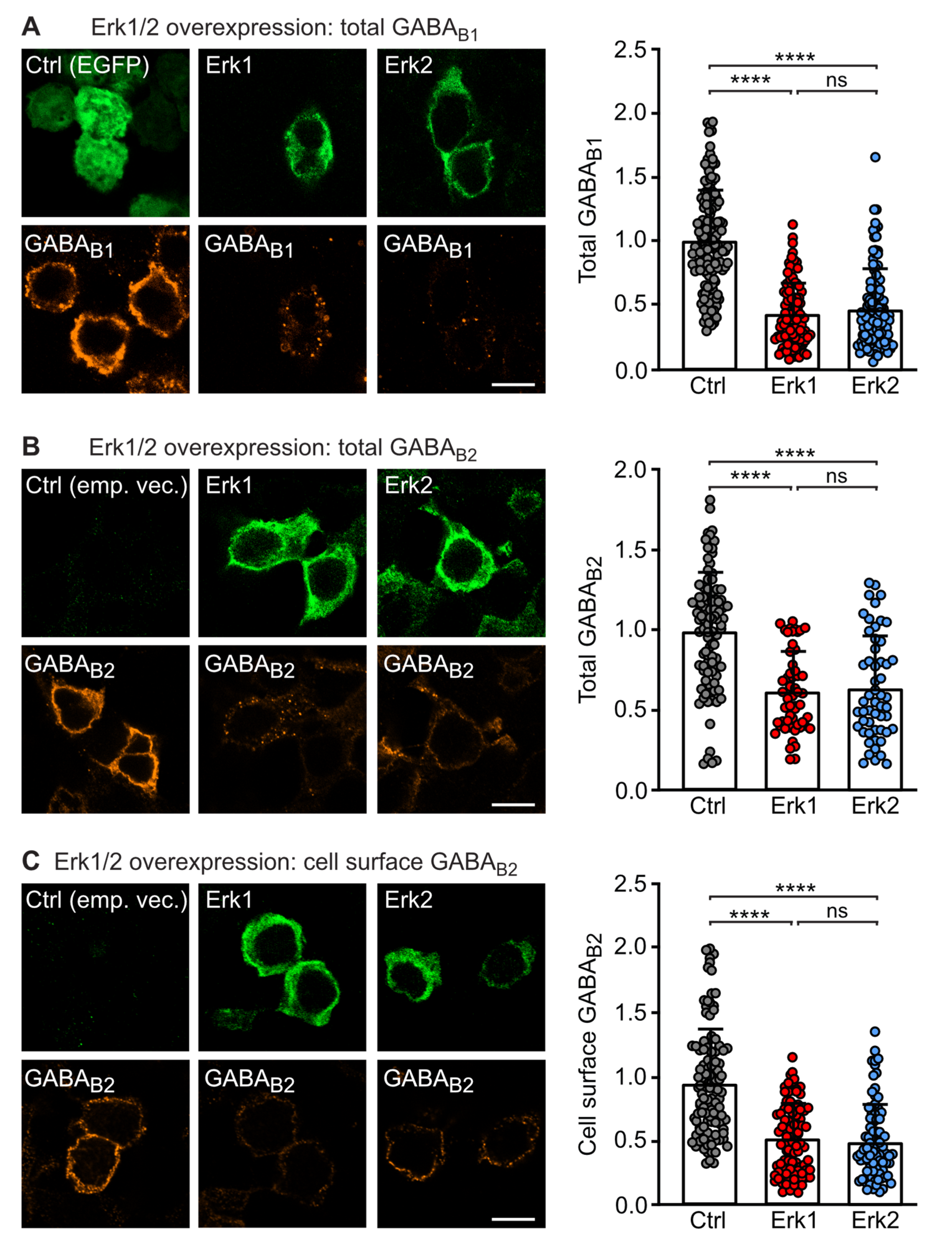 Ijms 24 13436 g001 Ijms 24 13436 g001