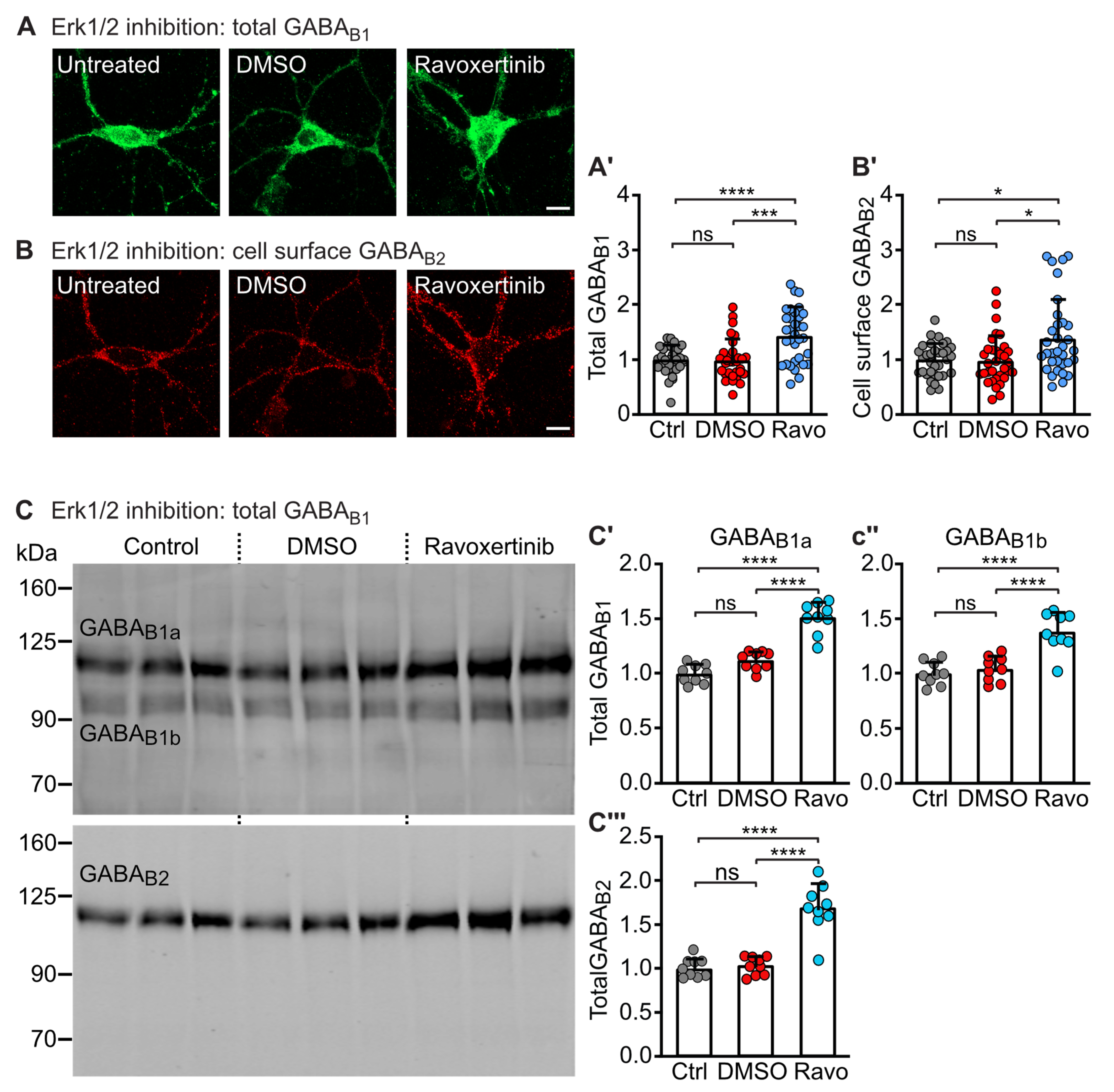 Ijms 24 13436 g002 Ijms 24 13436 g002