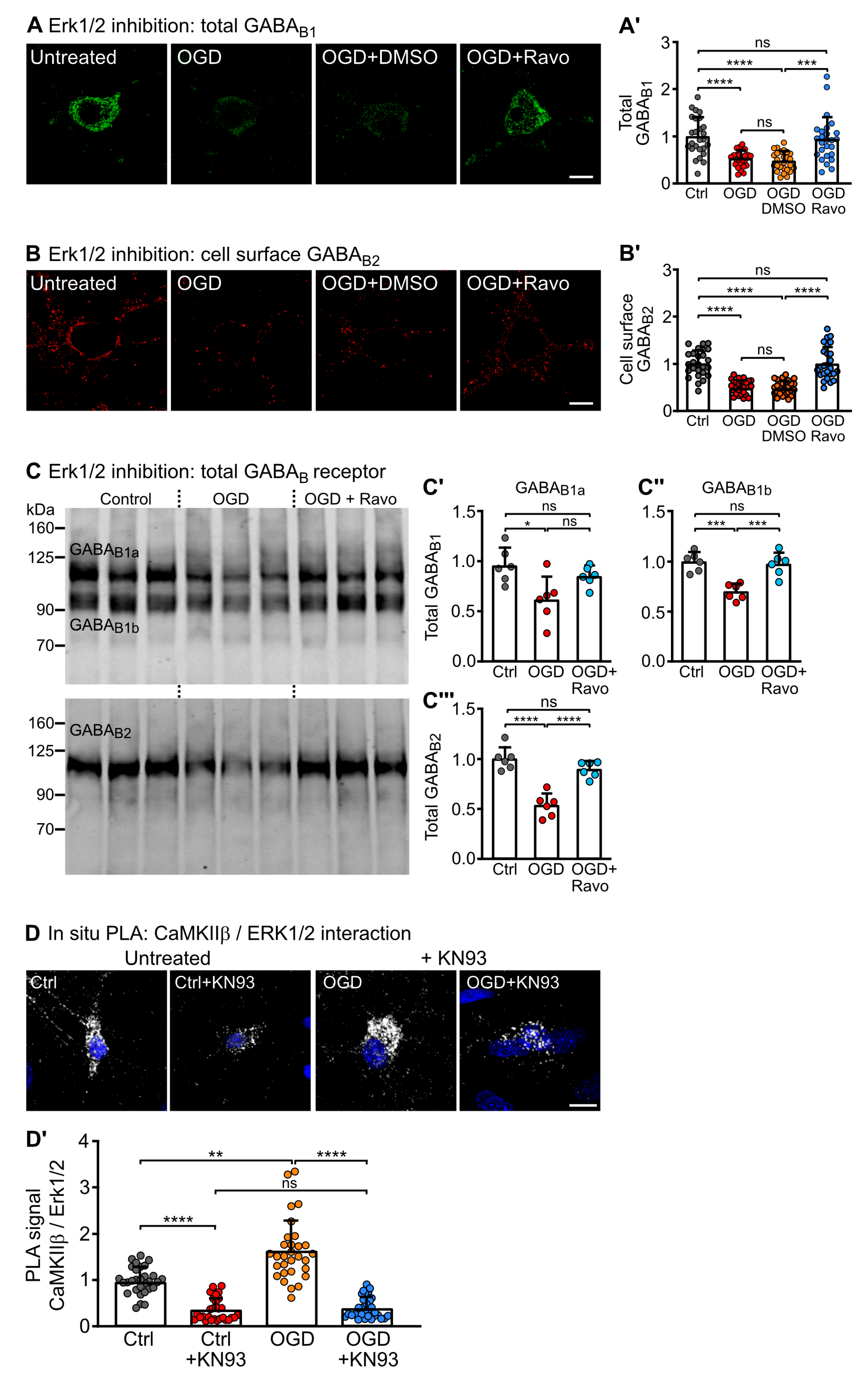 Ijms 24 13436 g006 Ijms 24 13436 g006