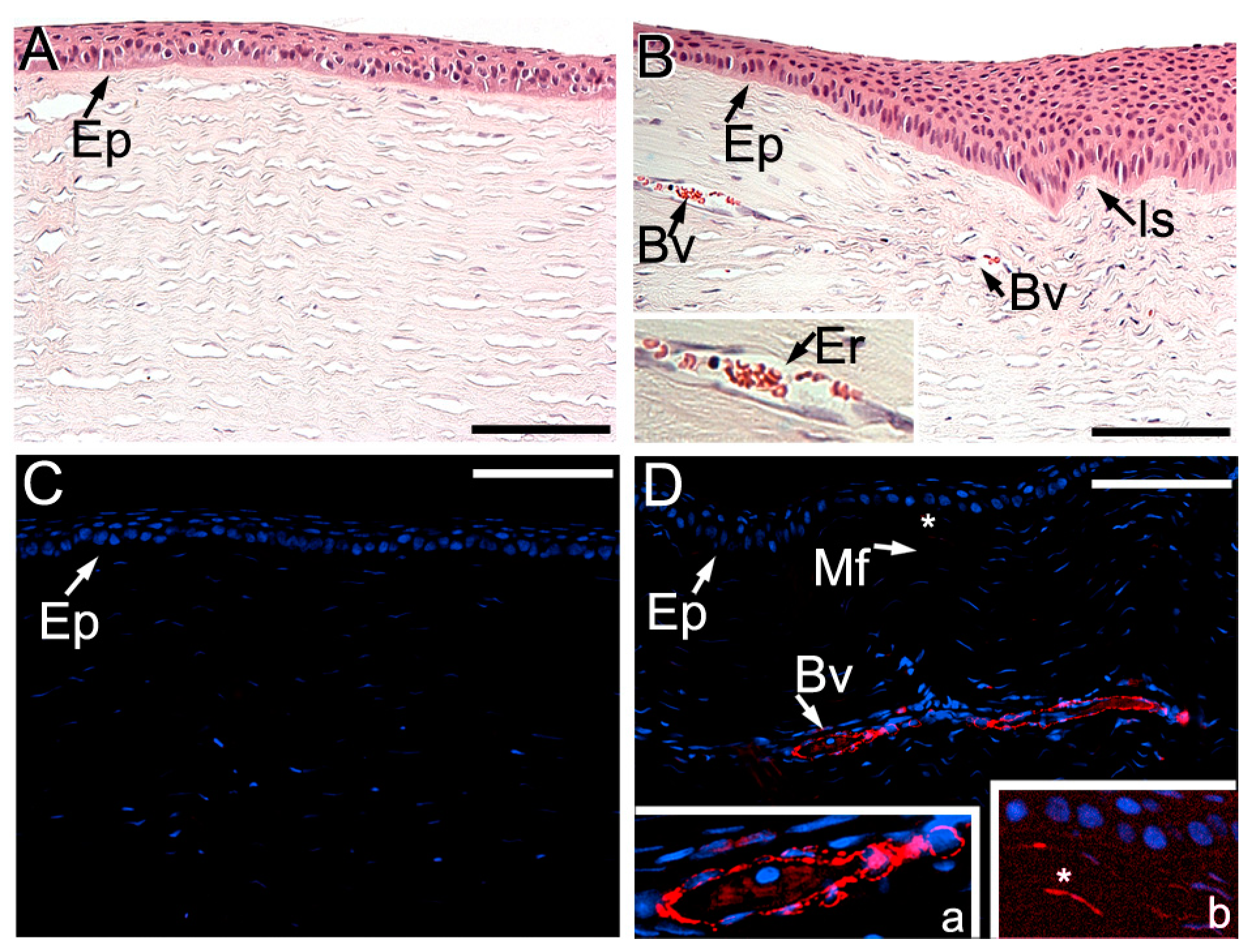 Ijms 24 13438 g003 Ijms 24 13438 g003