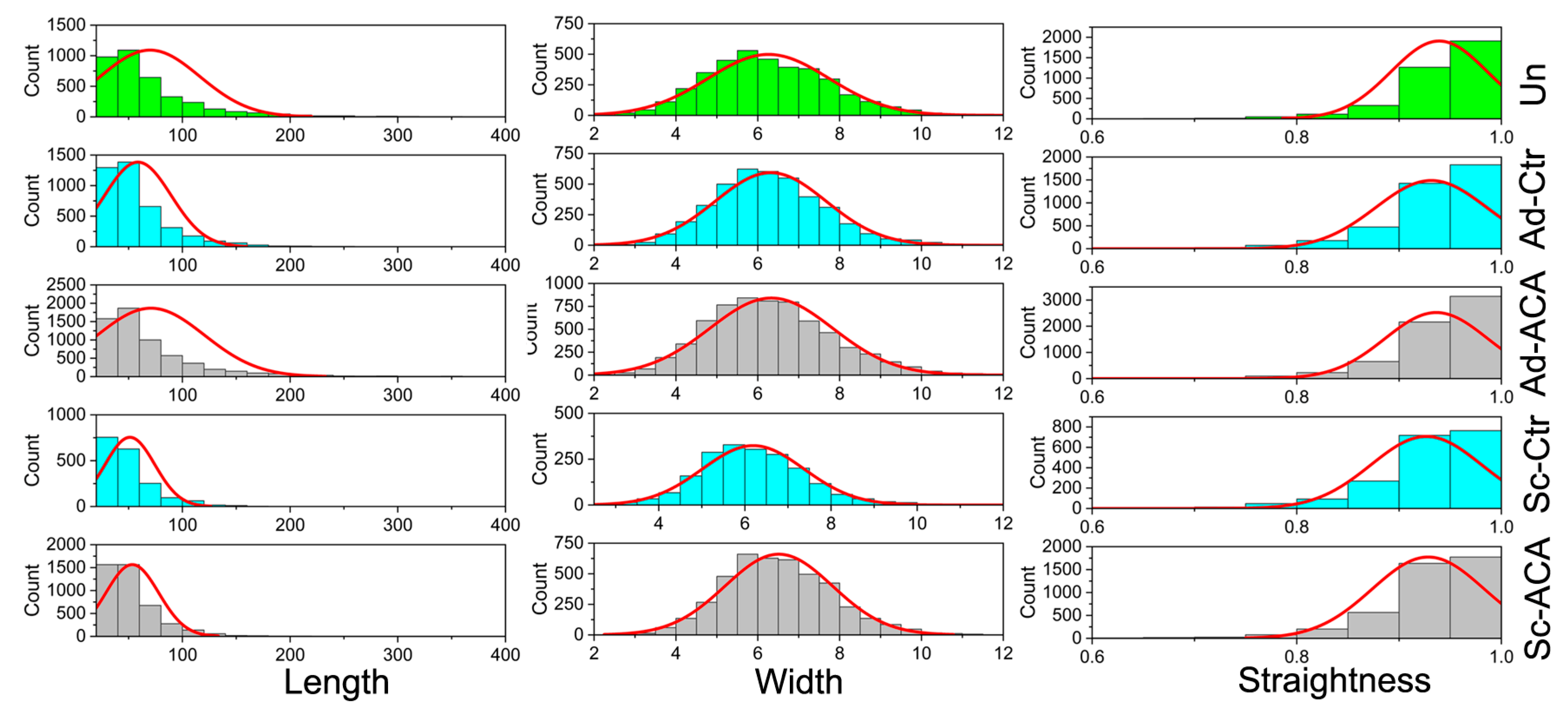 Ijms 24 13438 g007 Ijms 24 13438 g007