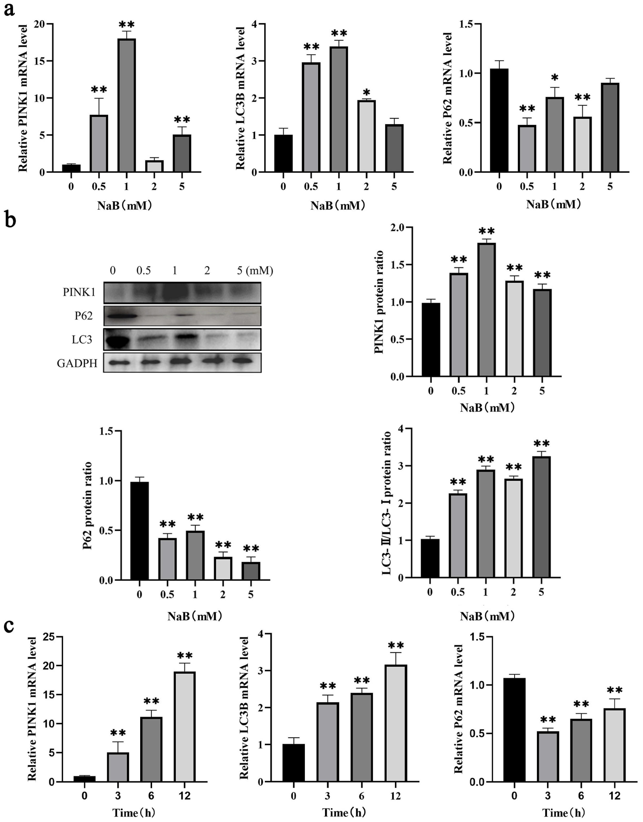 Ijms 24 13474 g002 Ijms 24 13474 g002