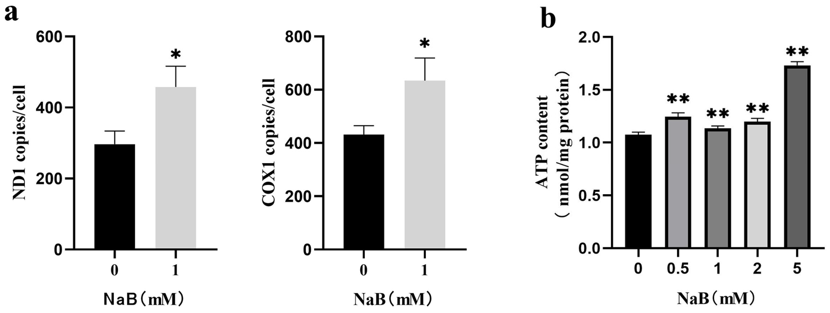 Ijms 24 13474 g004 Ijms 24 13474 g004