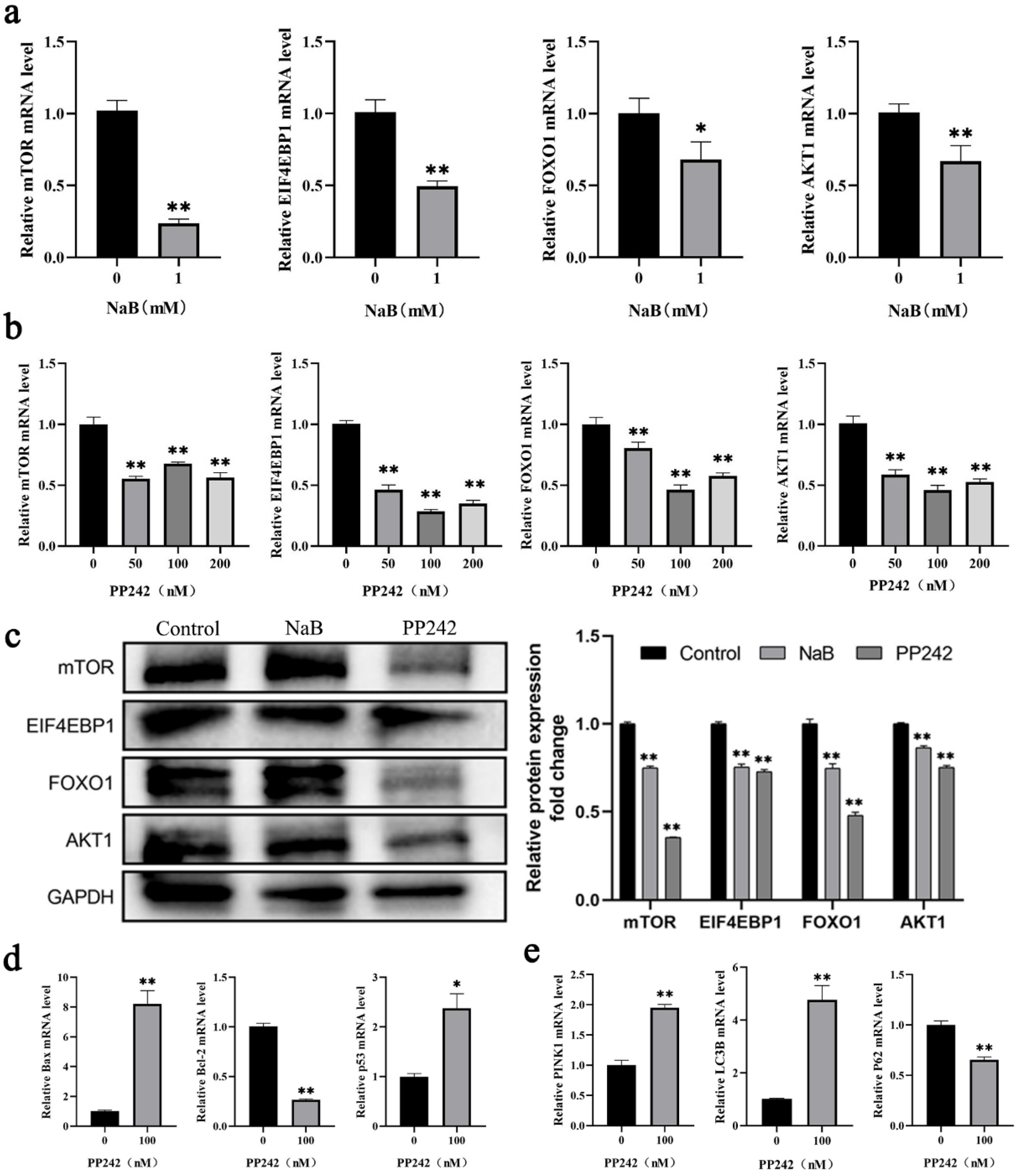 Ijms 24 13474 g005 Ijms 24 13474 g005