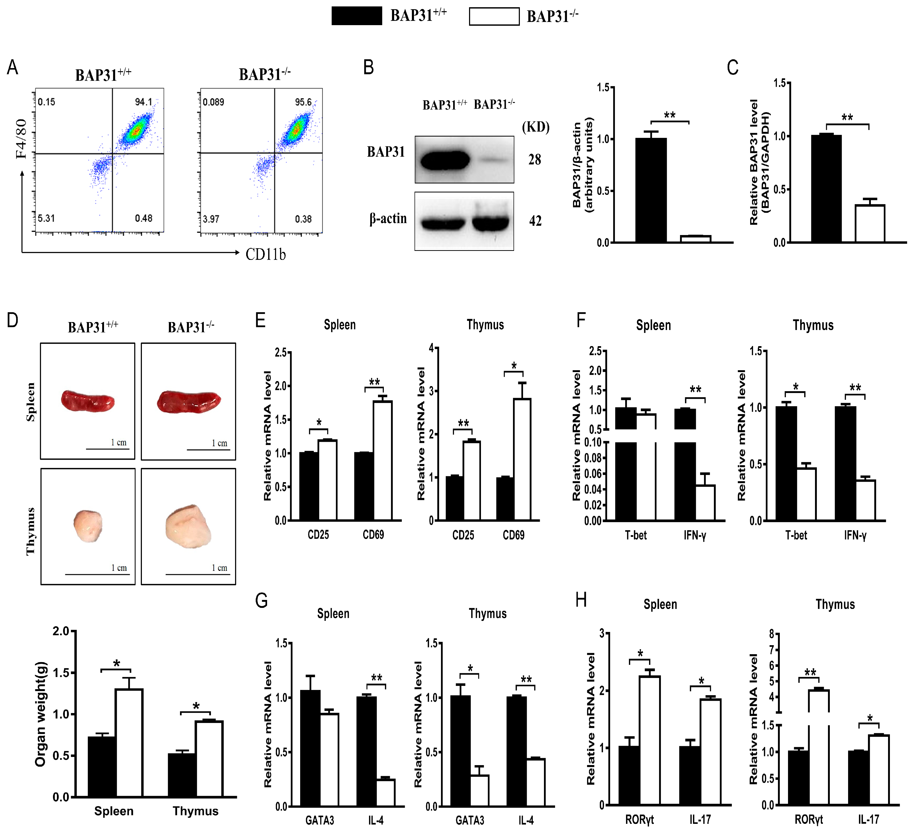 Ijms 24 13476 g001 Ijms 24 13476 g001