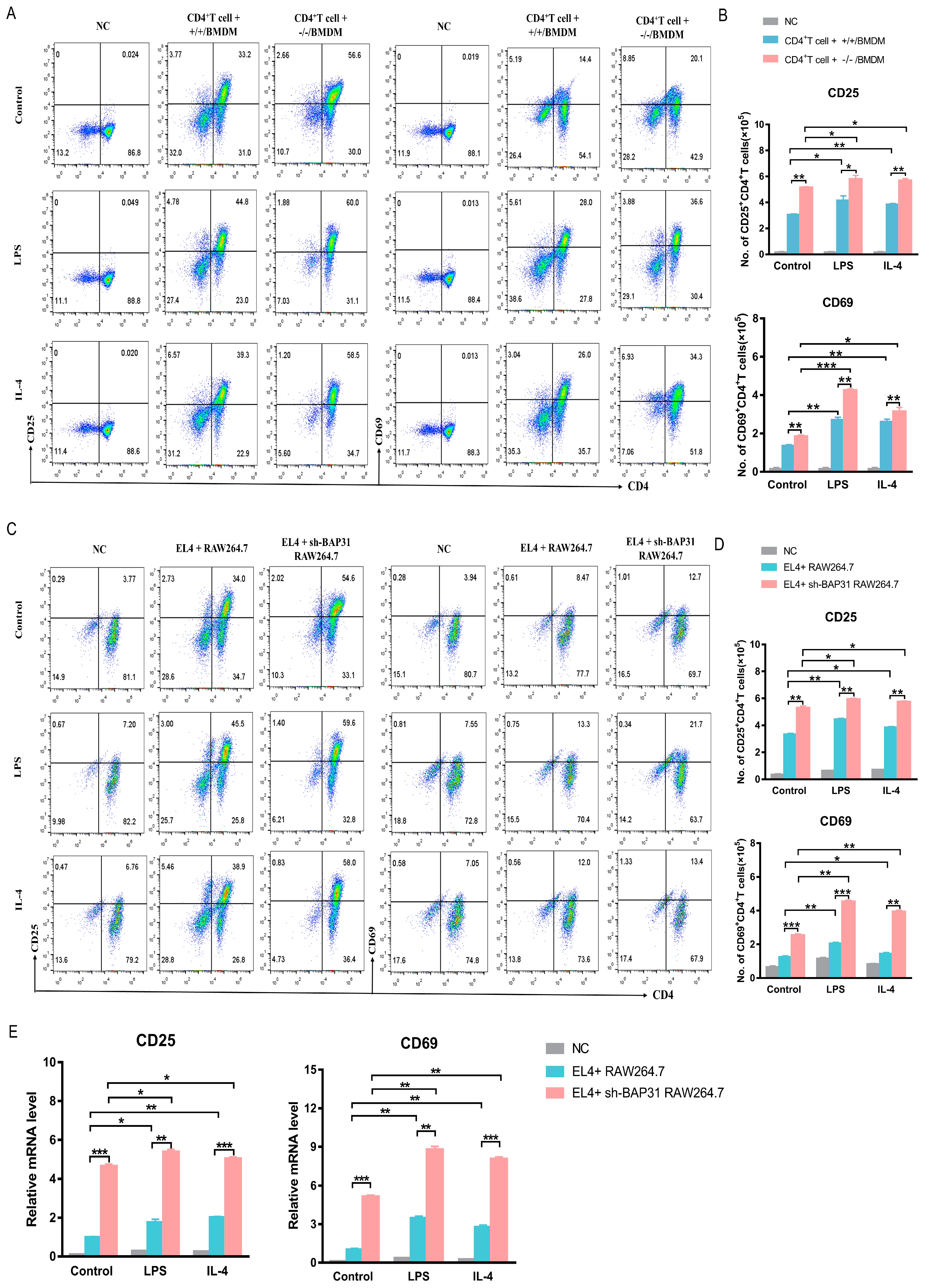 Ijms 24 13476 g002 Ijms 24 13476 g002