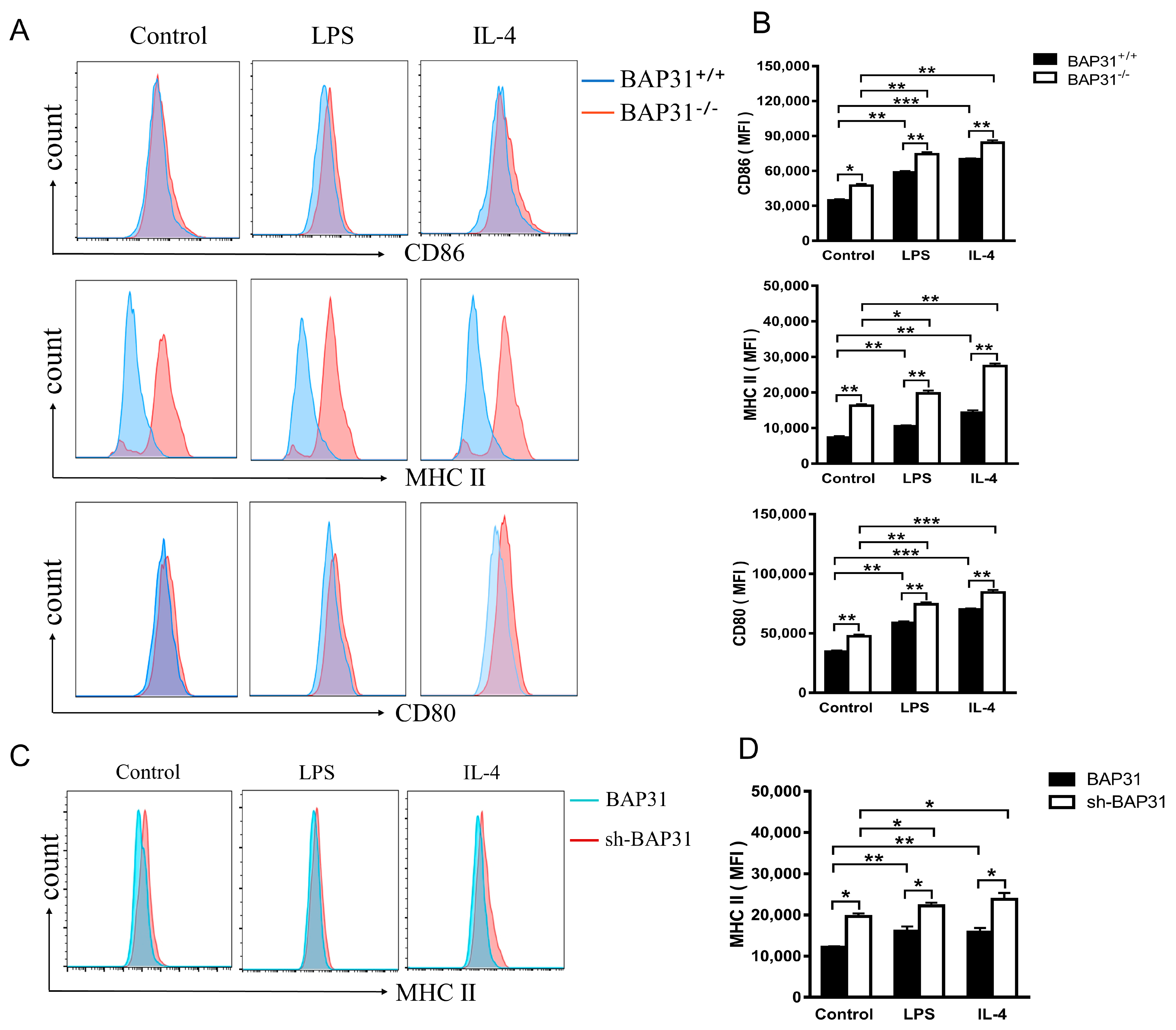 Ijms 24 13476 g004 Ijms 24 13476 g004
