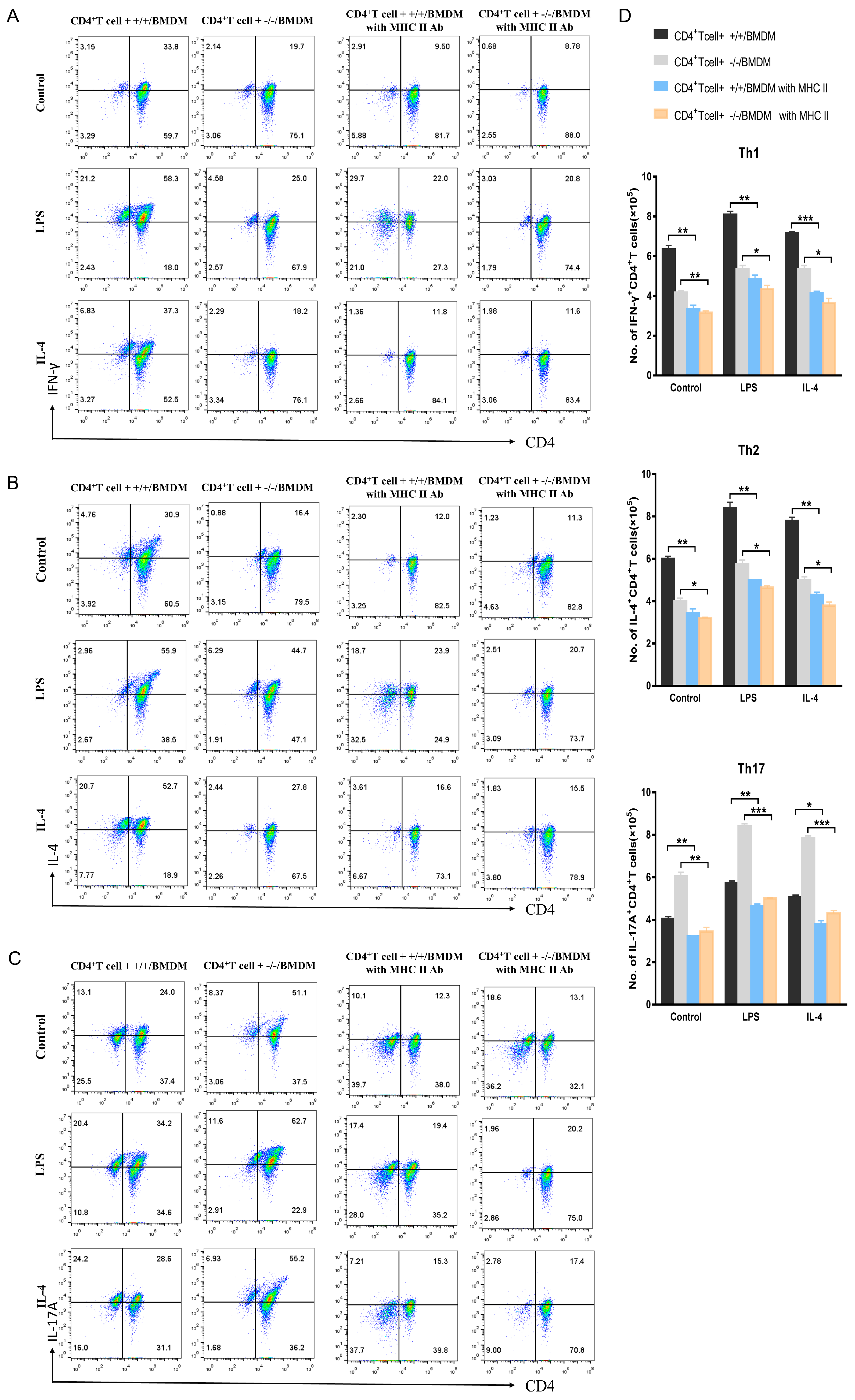 Ijms 24 13476 g005 Ijms 24 13476 g005