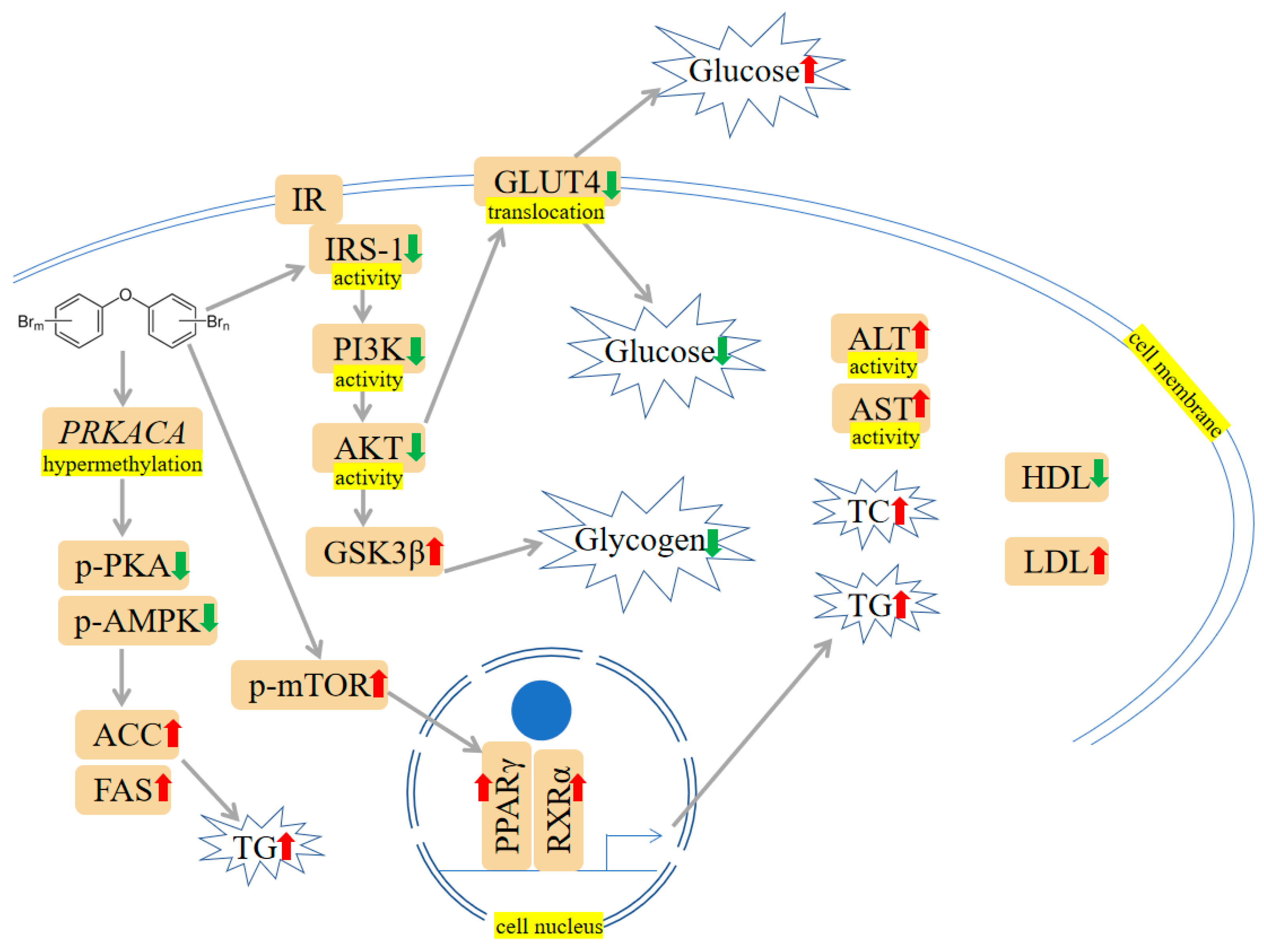 Ijms 24 13487 g004 Ijms 24 13487 g004