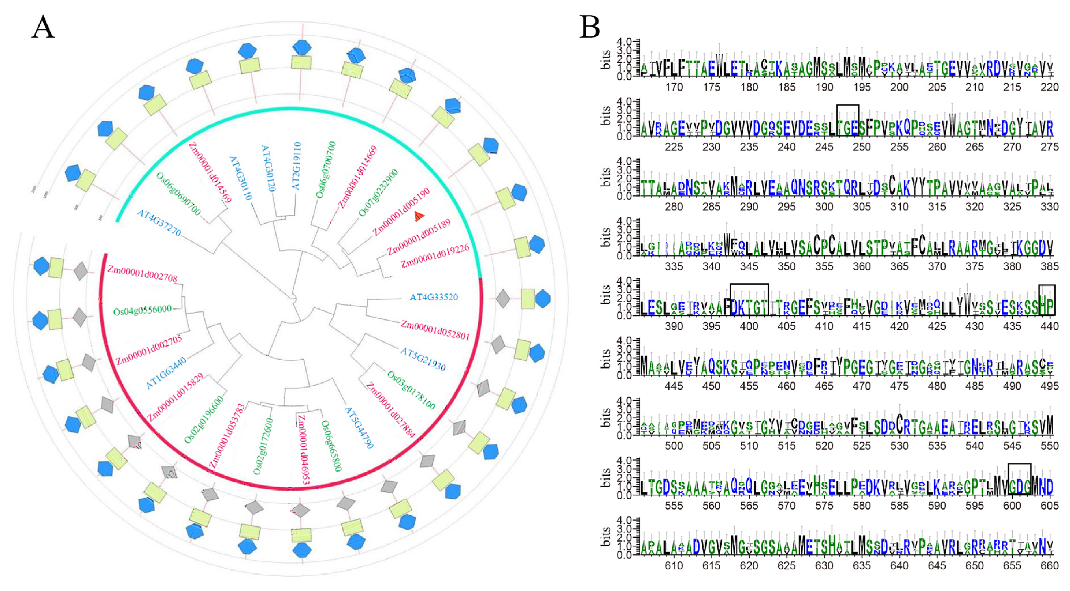 Ijms 24 13496 g001 Ijms 24 13496 g001