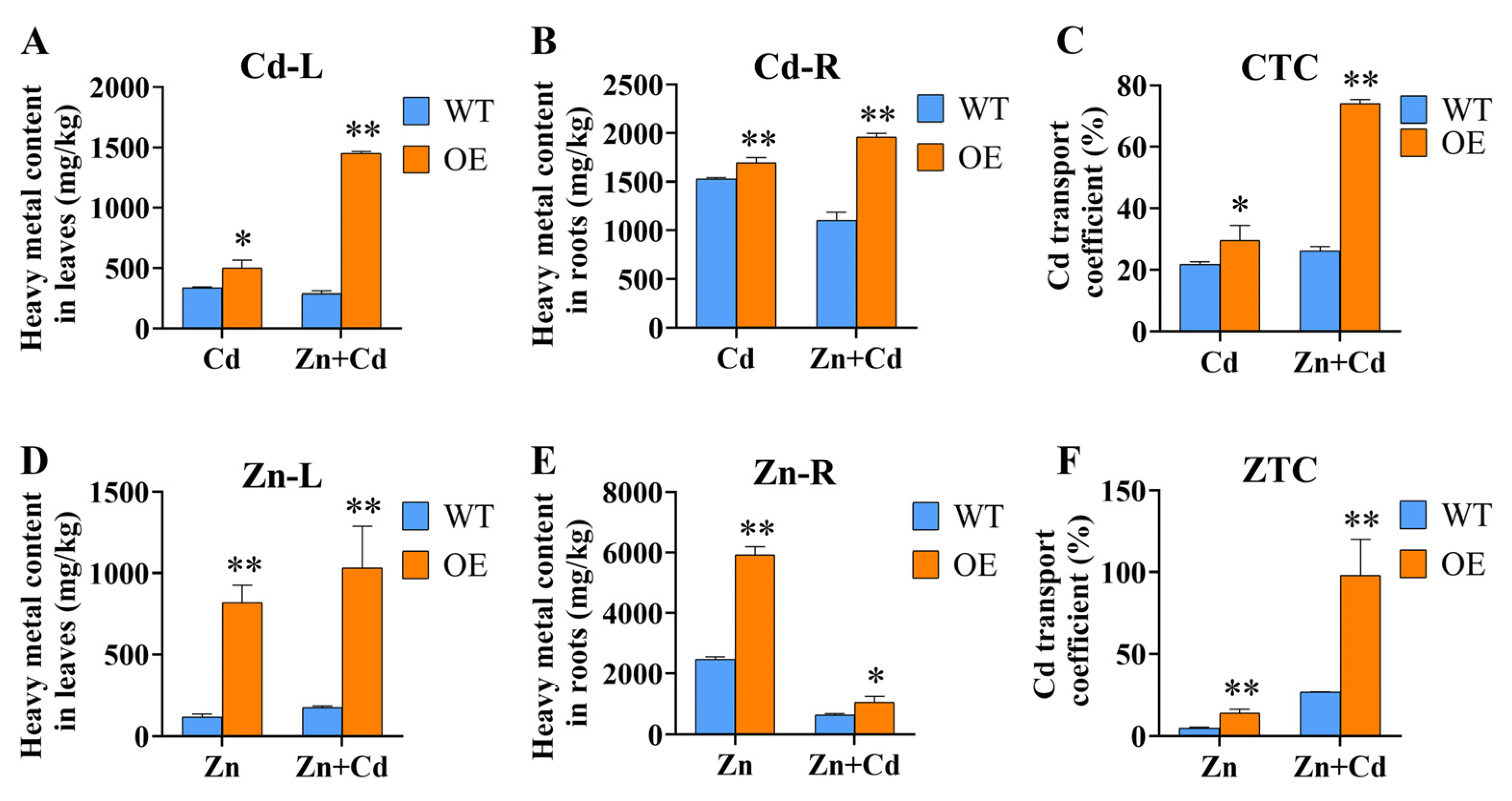 Ijms 24 13496 g005 Ijms 24 13496 g005