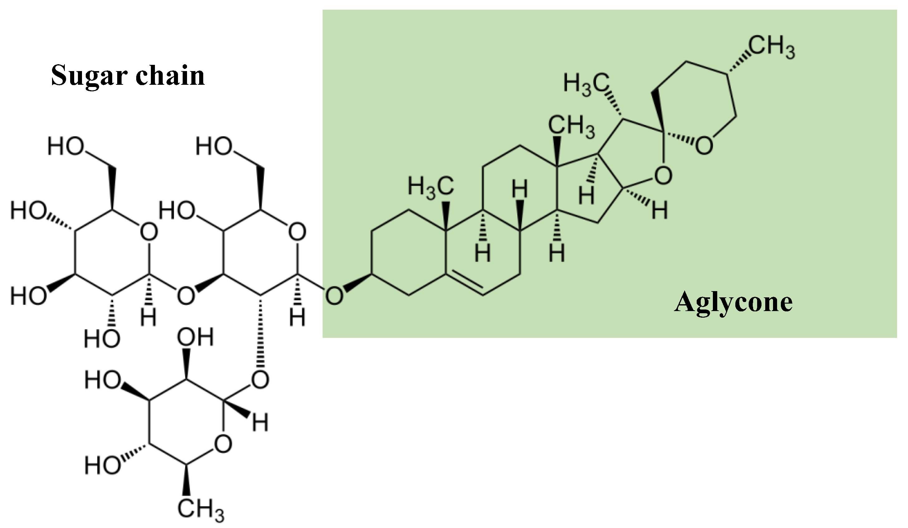 Ijms 24 13538 g002 Ijms 24 13538 g002