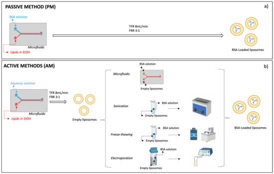 Investigation and Comparison of Active and Passive Encapsulation ...