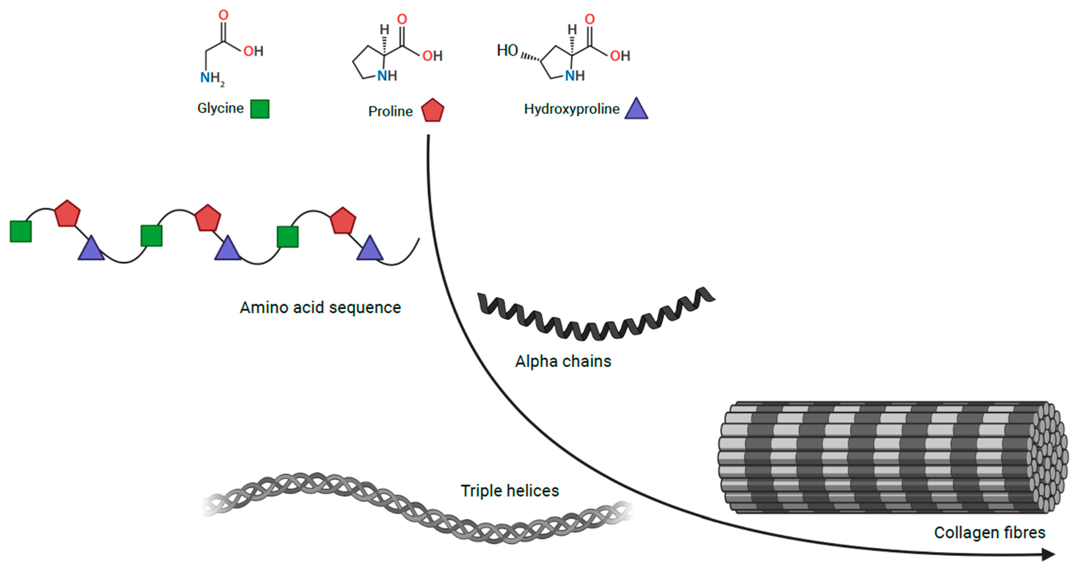 Full article: The Influence Mechanism of Abnormal Immunophilin