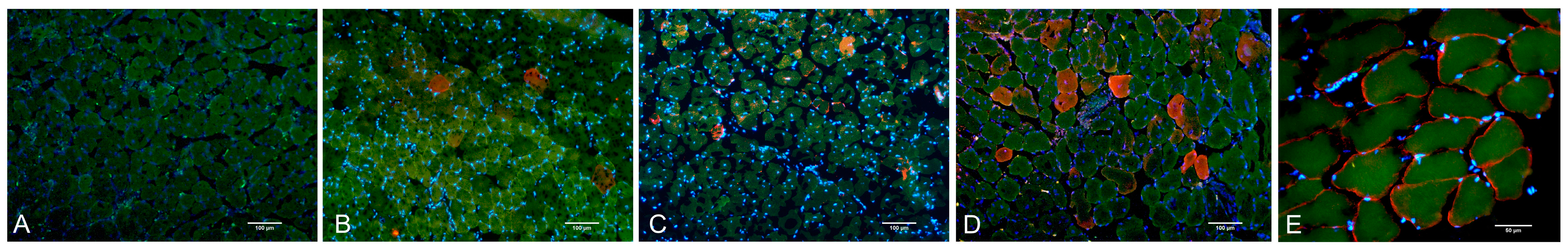 Ijms 24 13551 g005 Ijms 24 13551 g005