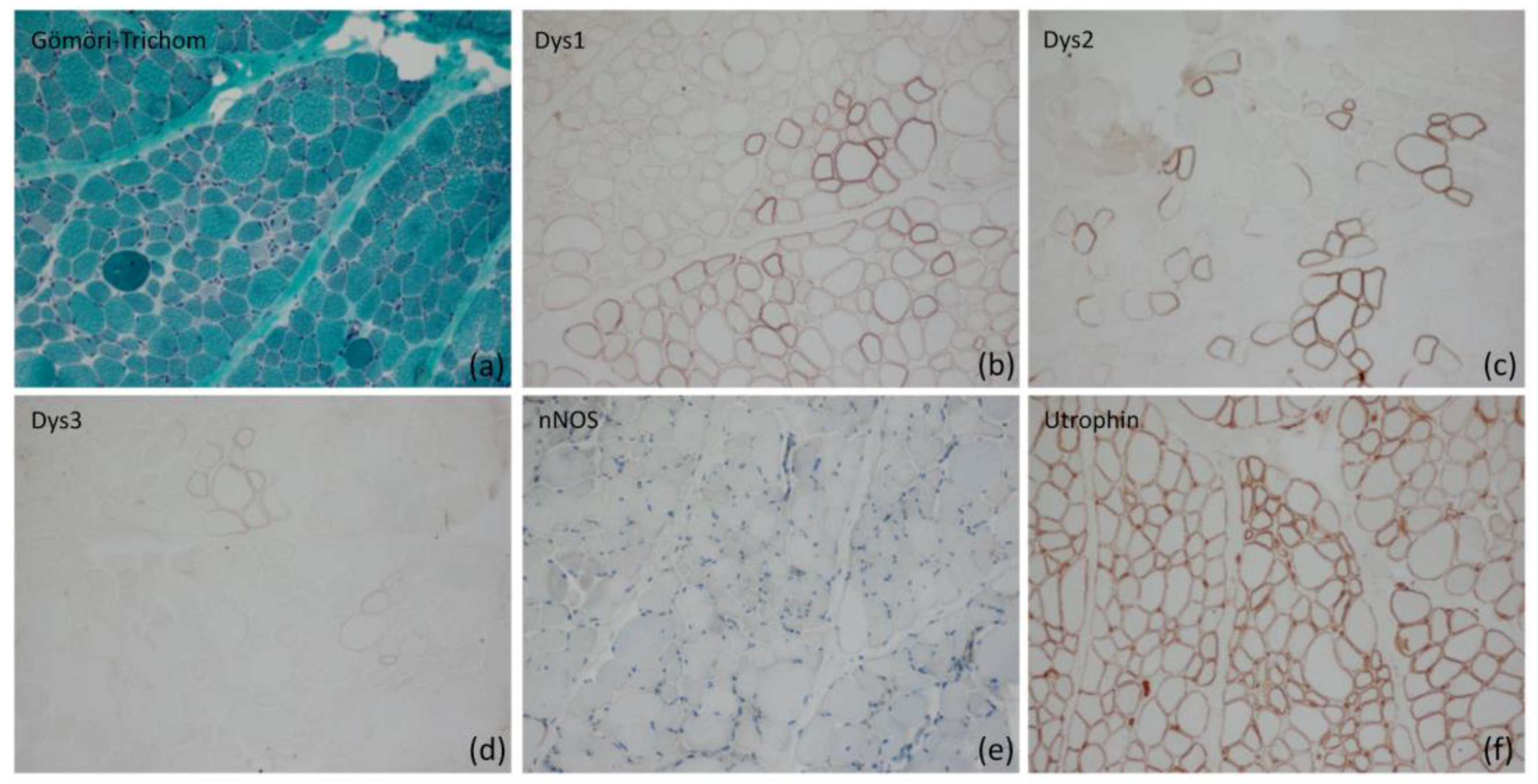 Ijms 24 13567 g001 Ijms 24 13567 g001