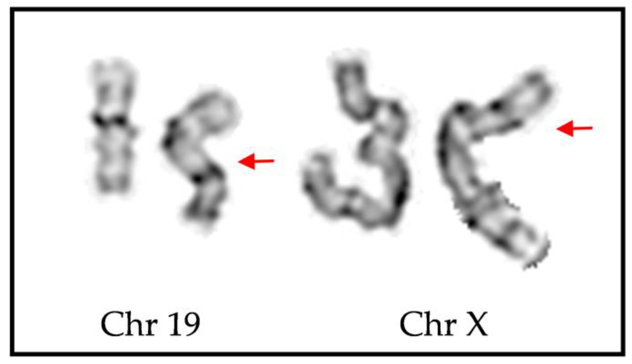 Ijms 24 13567 g006 Ijms 24 13567 g006