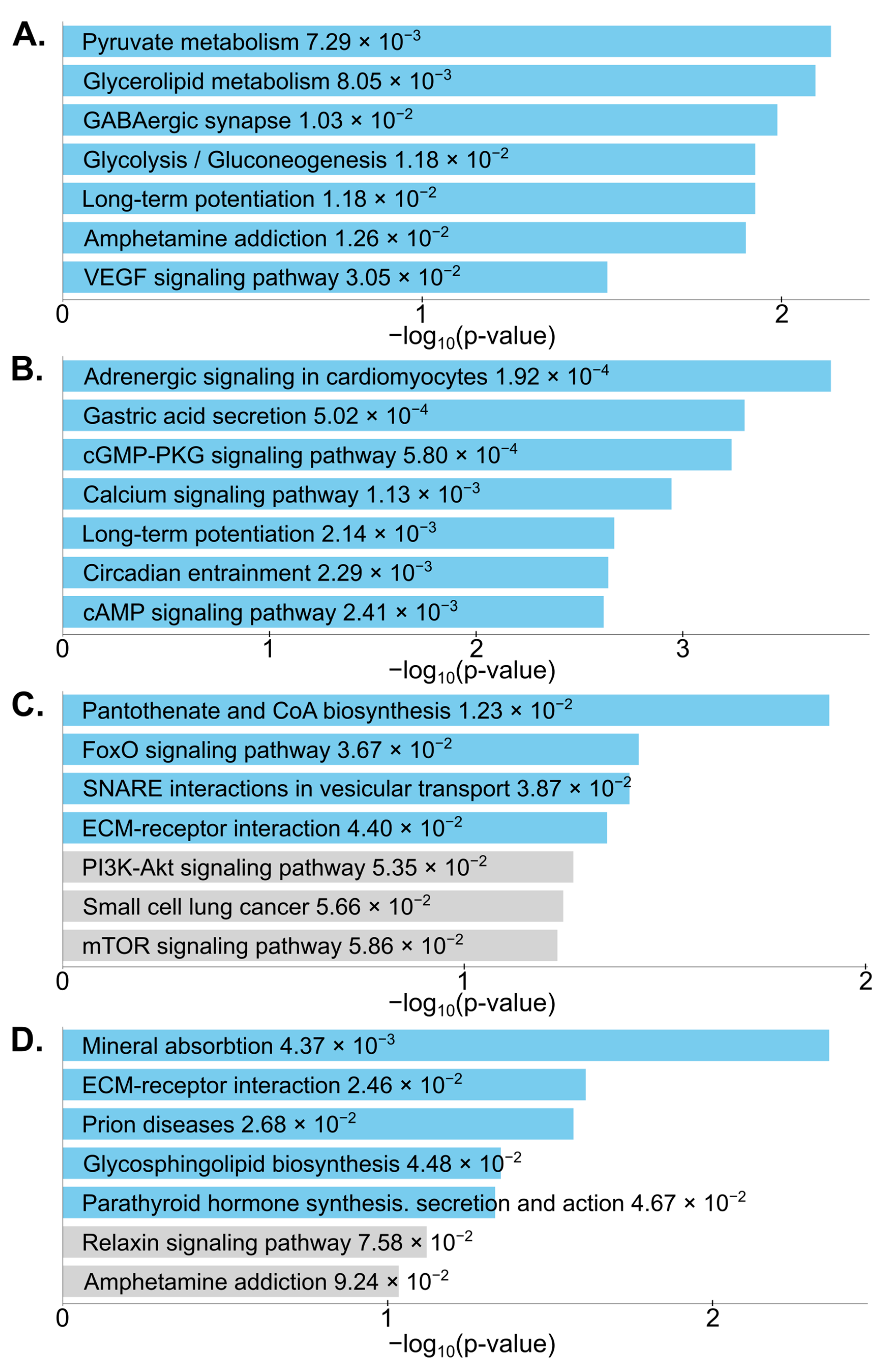 Ijms 24 13569 g004 Ijms 24 13569 g004