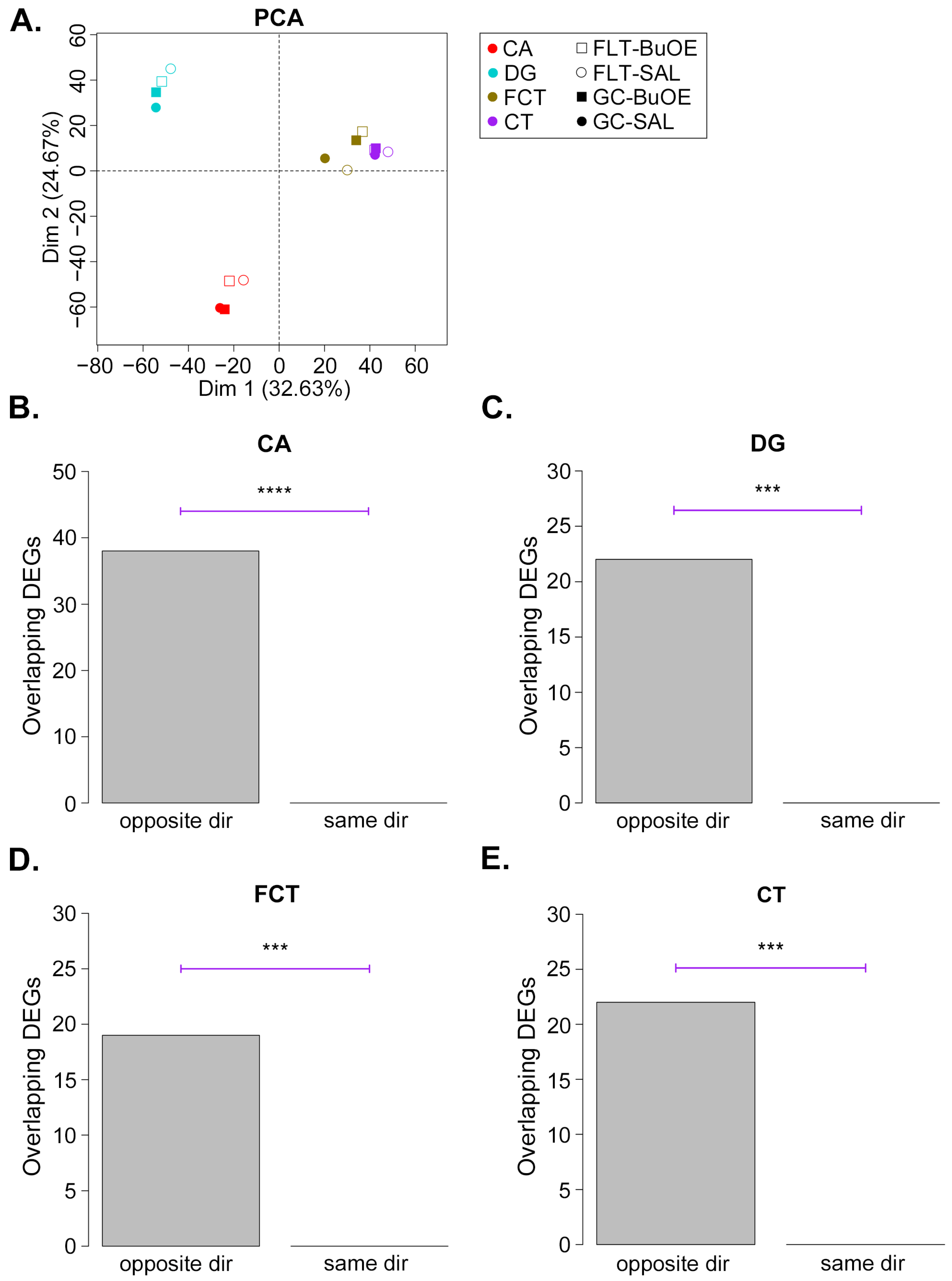 Ijms 24 13569 g005 Ijms 24 13569 g005