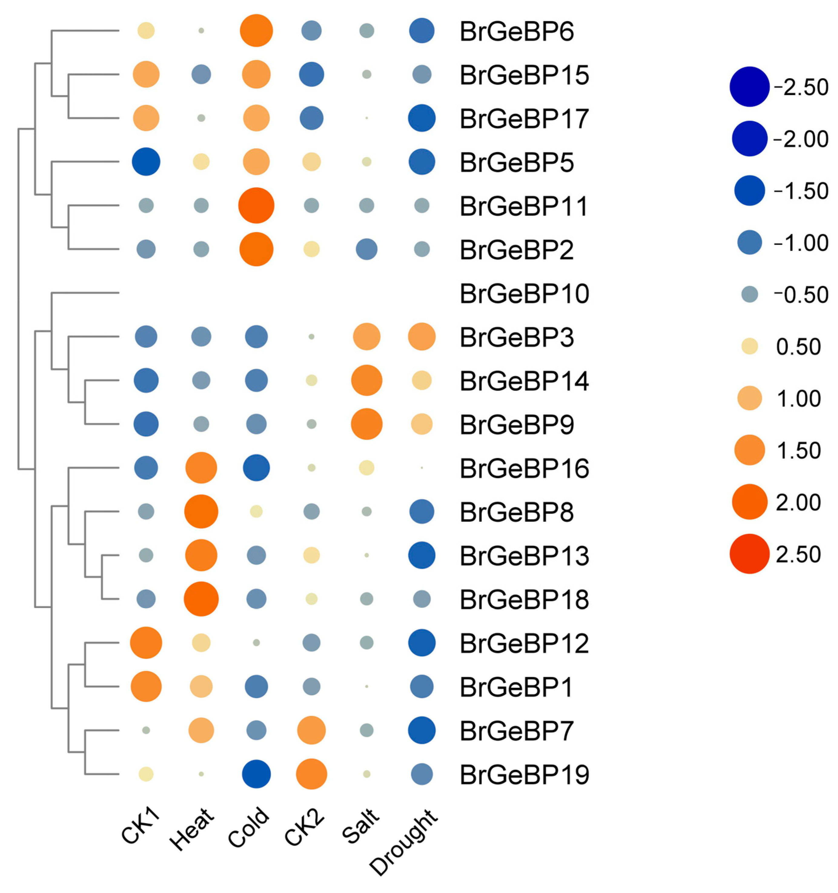 Ijms 24 13597 g004 Ijms 24 13597 g004