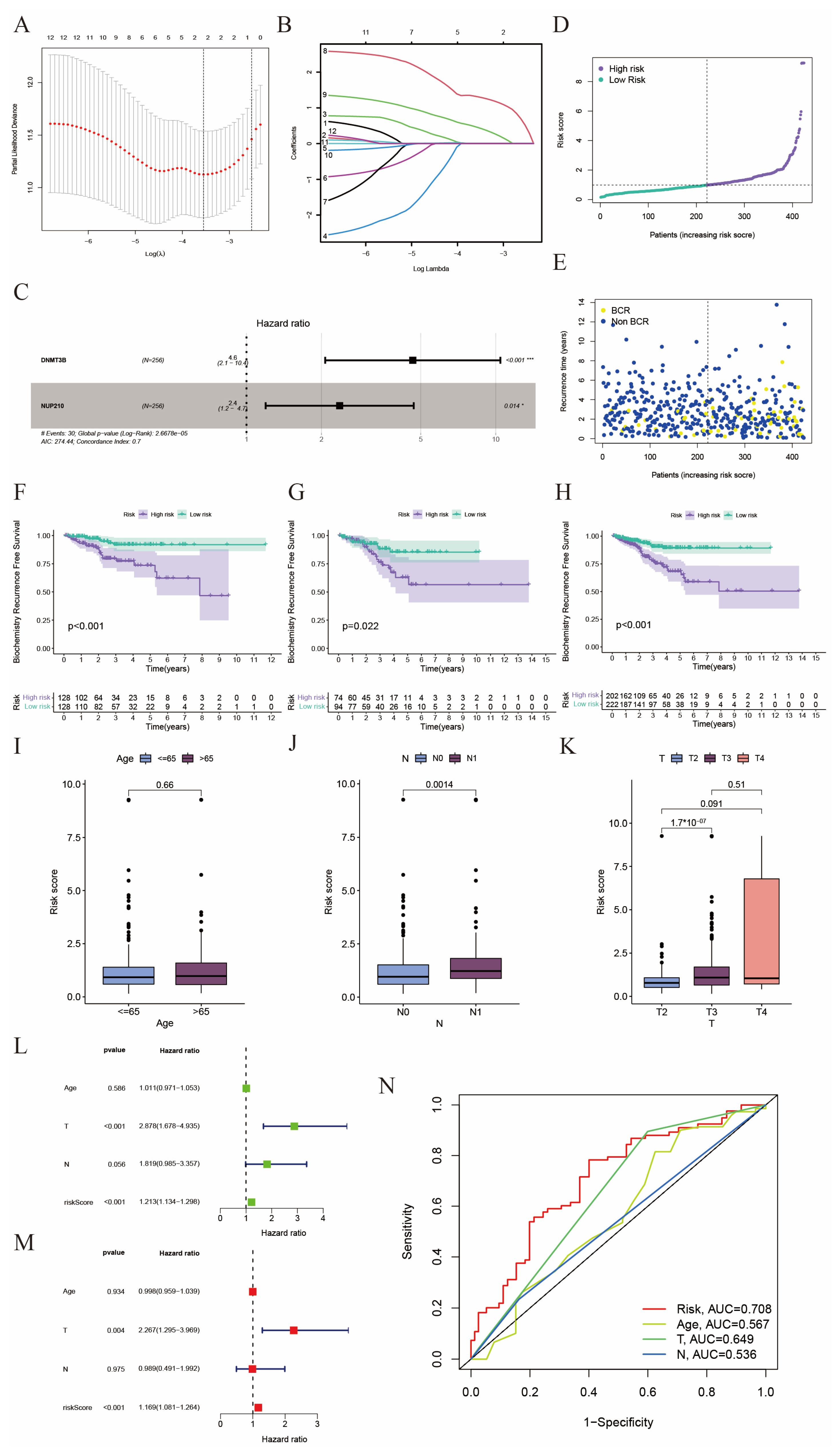 Ijms 24 13603 g002 Ijms 24 13603 g002