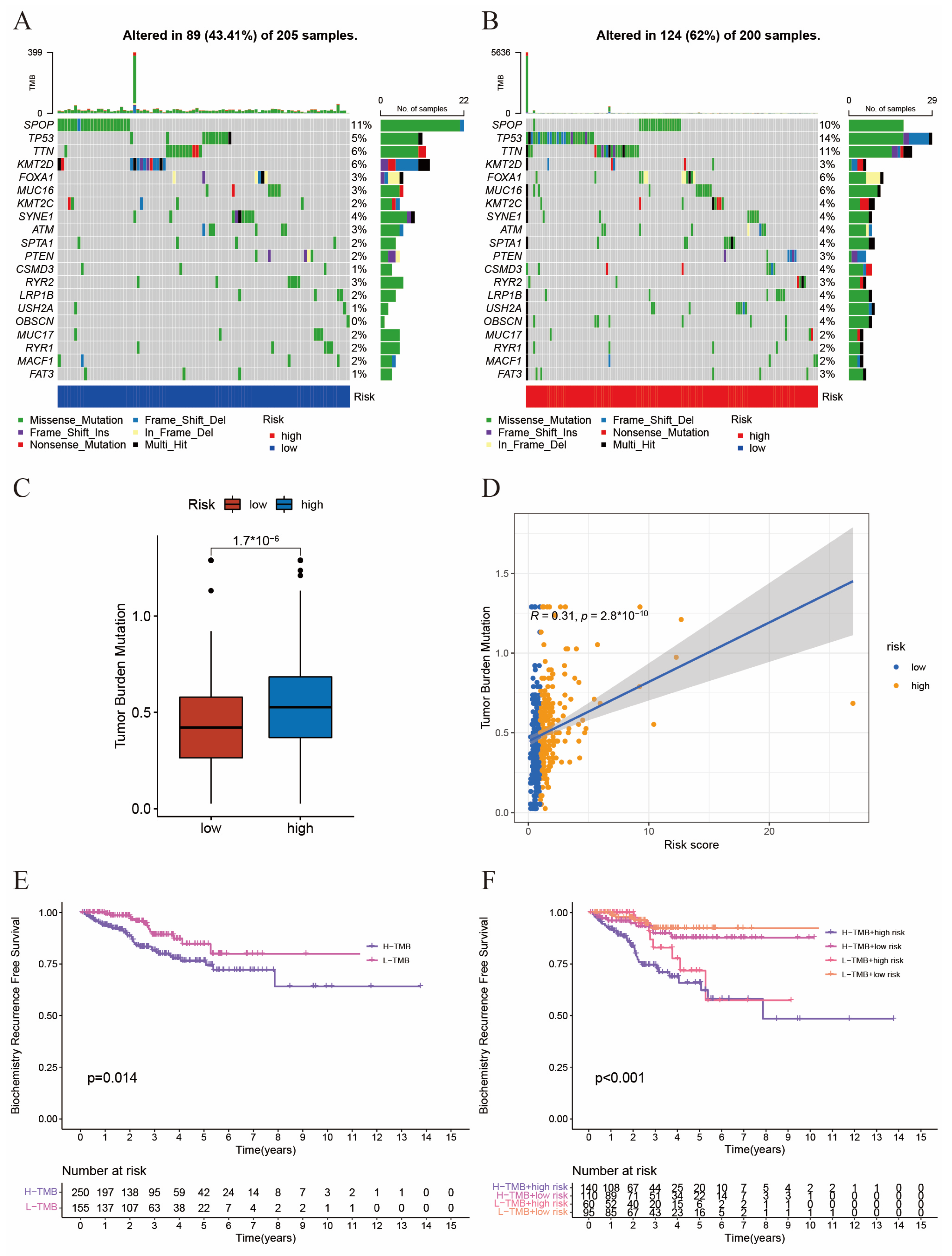 Ijms 24 13603 g004 Ijms 24 13603 g004