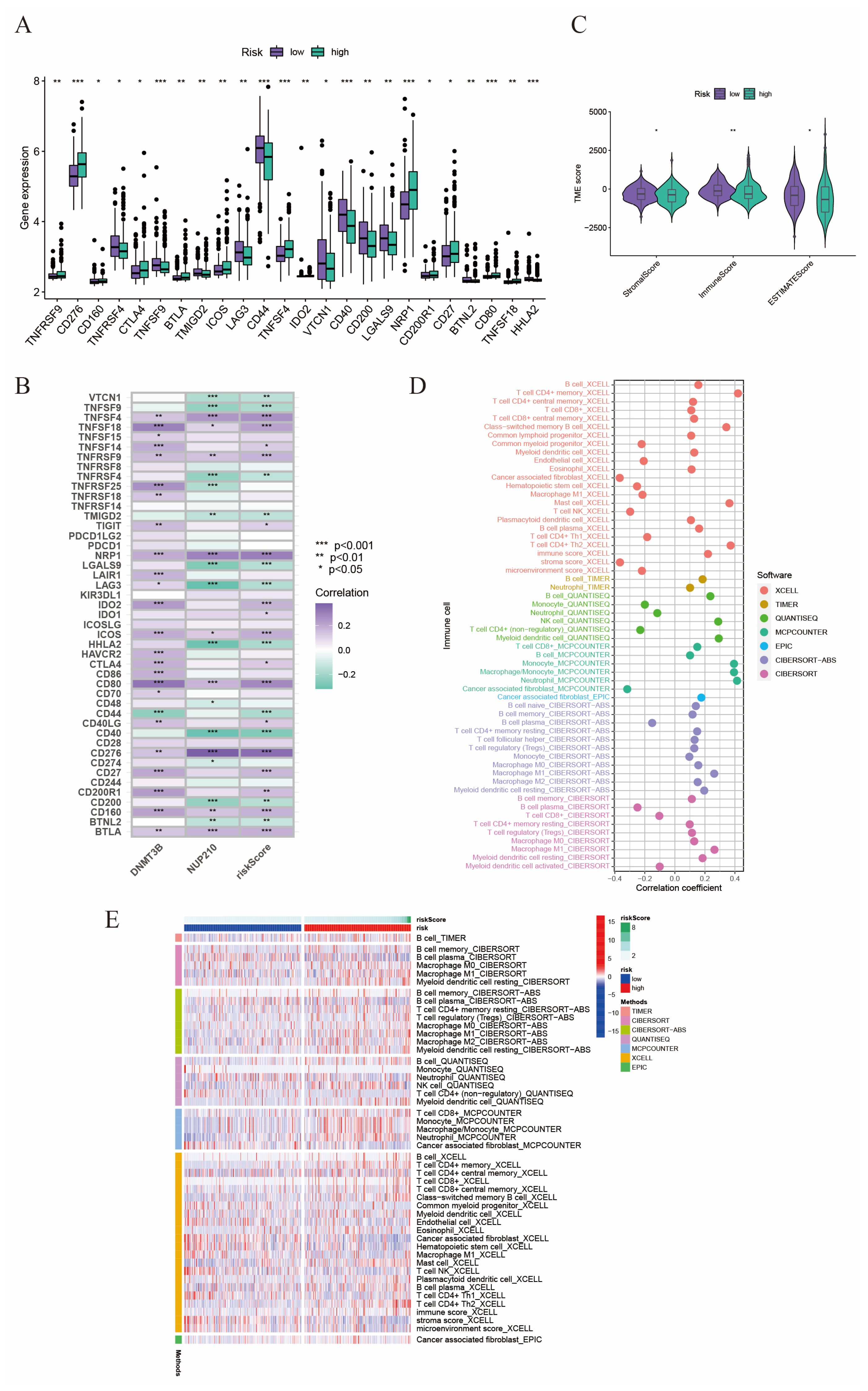 Ijms 24 13603 g005 Ijms 24 13603 g005