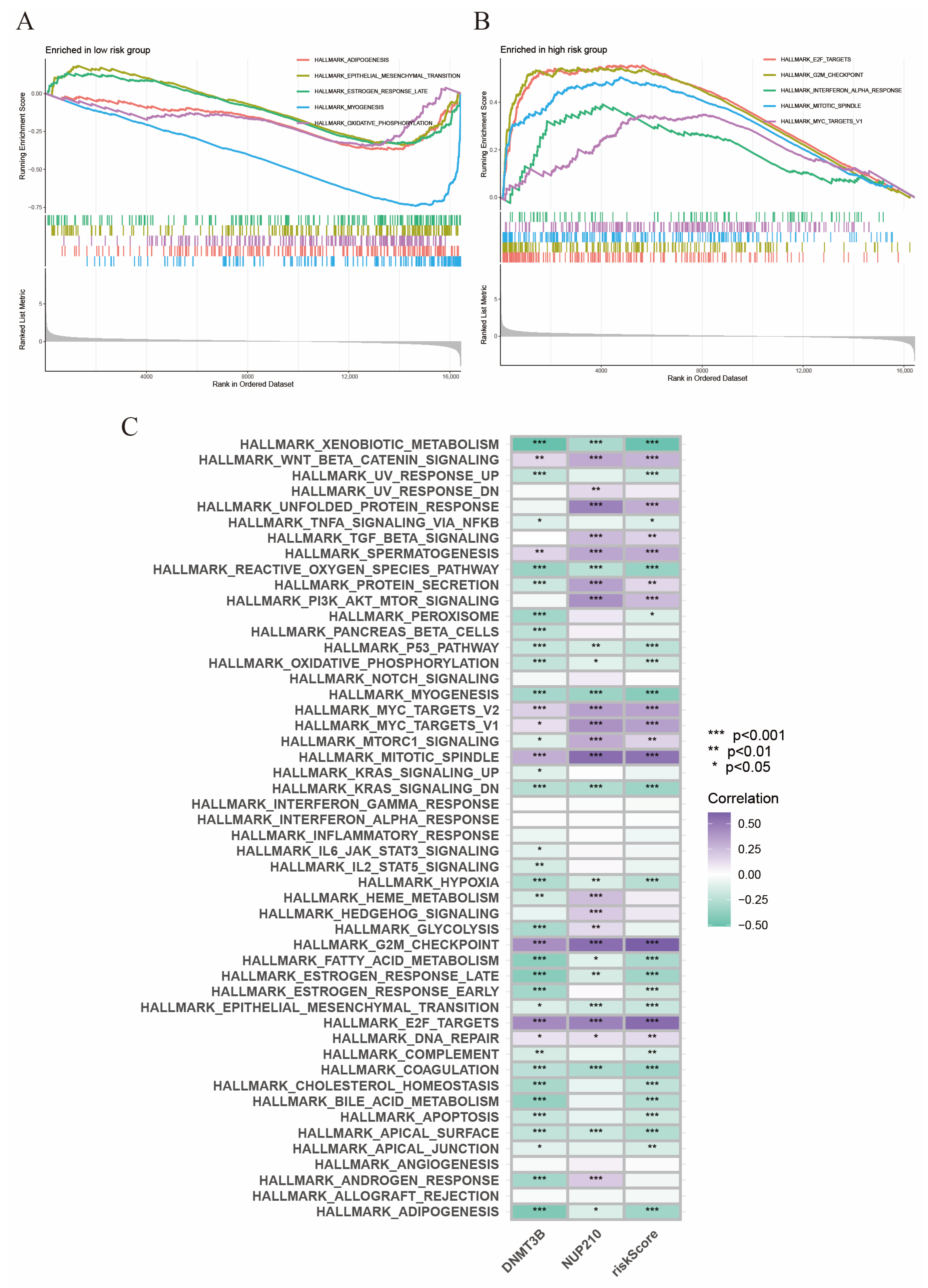 Ijms 24 13603 g007 Ijms 24 13603 g007