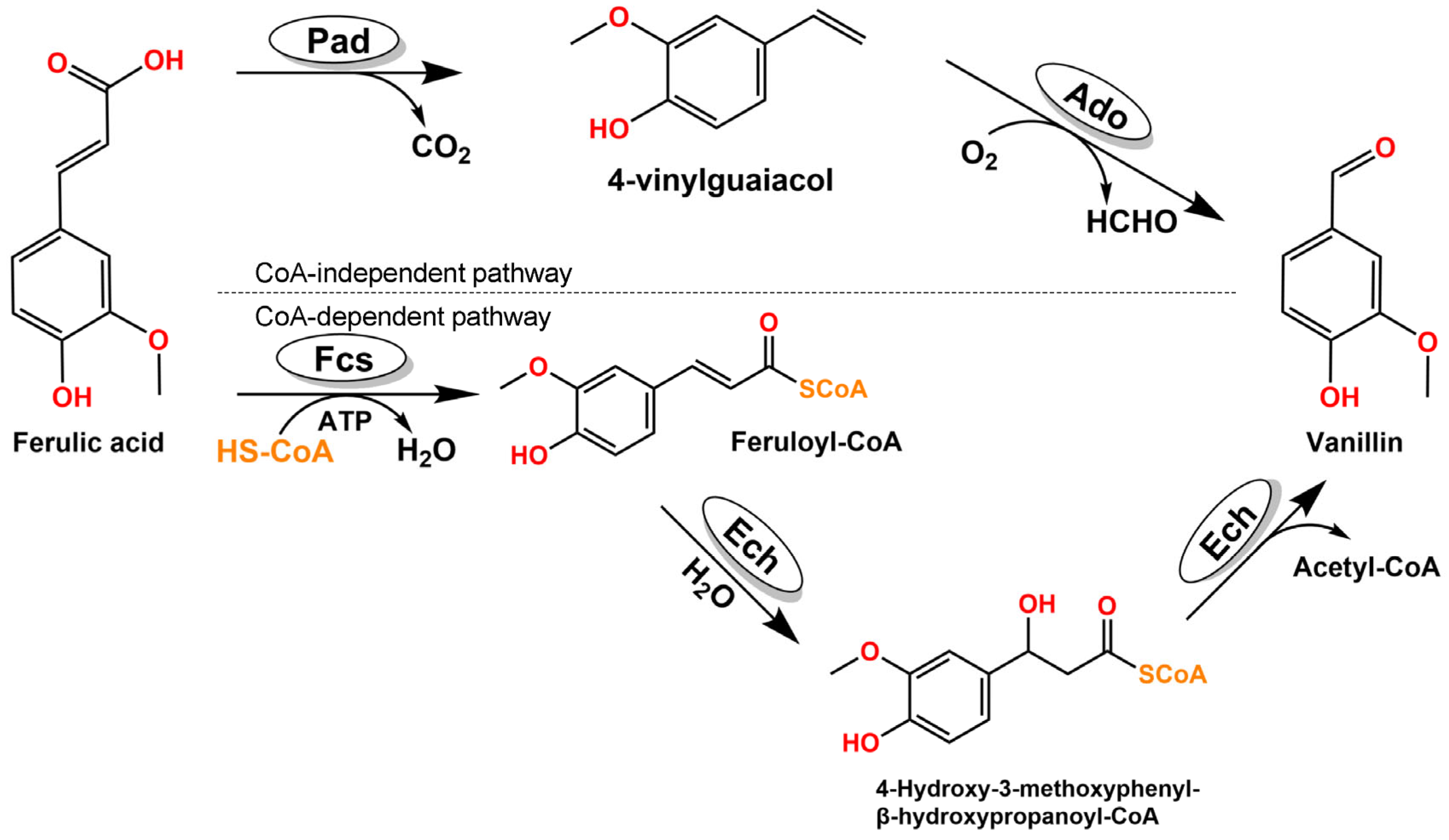 Ijms 24 13631 sch001