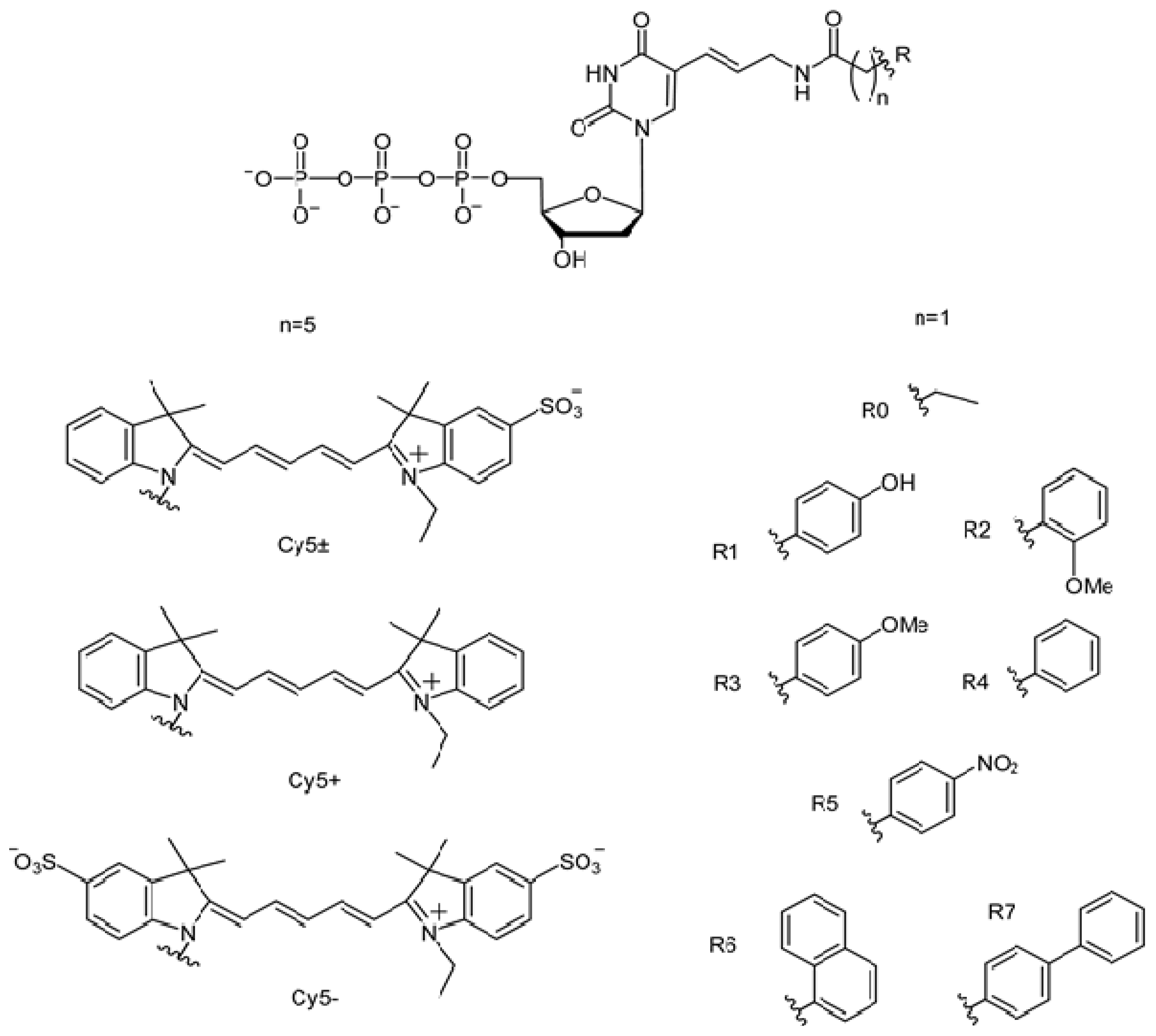 Ijms 24 13643 g001 Ijms 24 13643 g001
