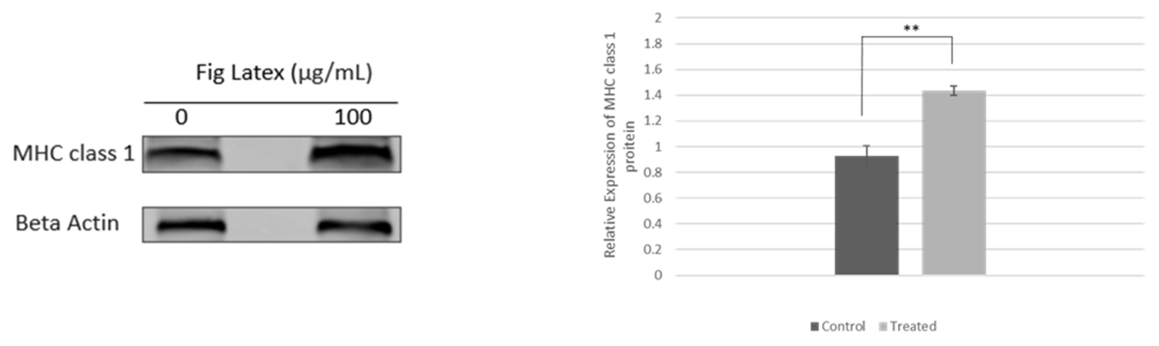 Ijms 24 13646 g003 Ijms 24 13646 g003