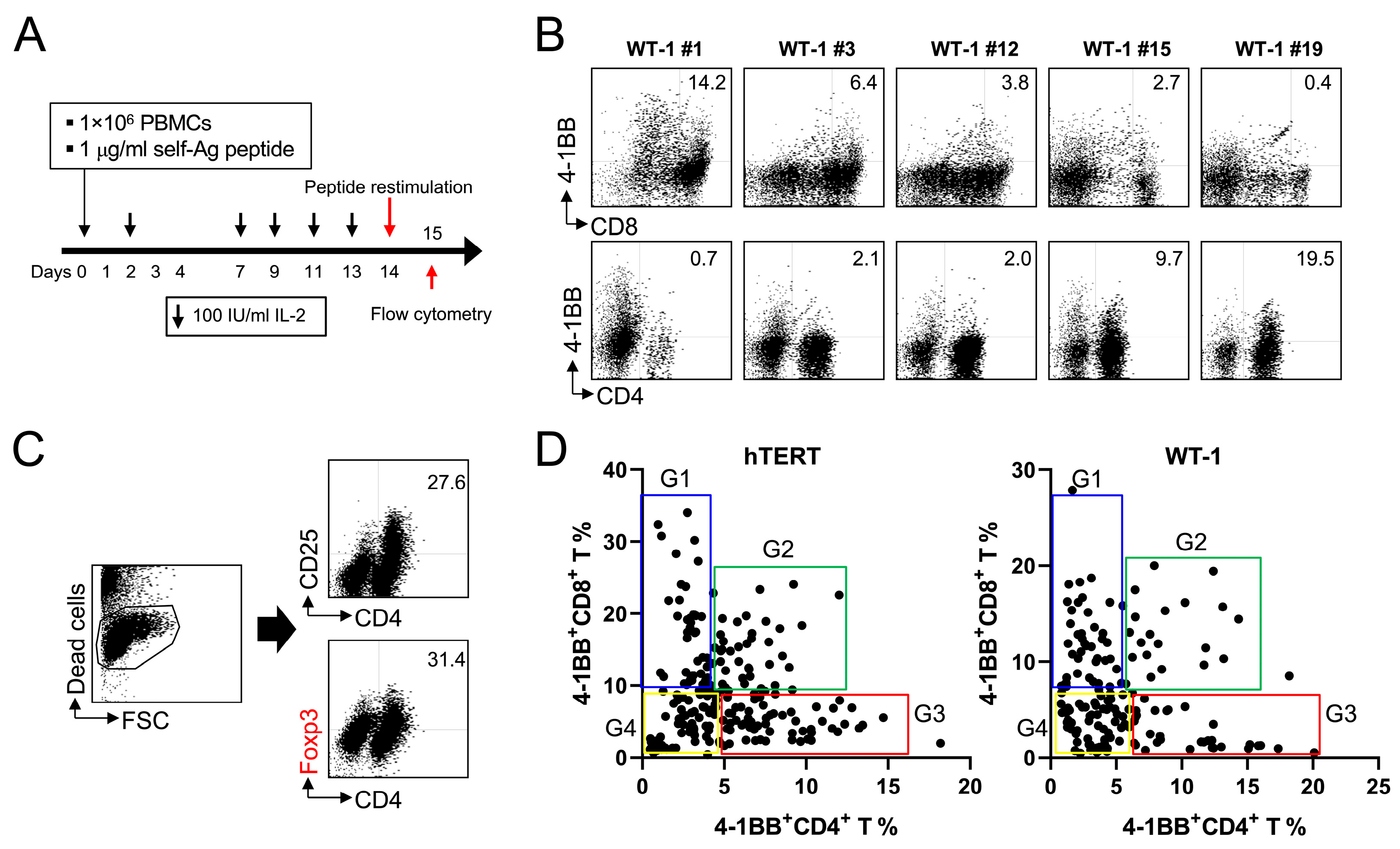 Ijms 24 13672 g001 Ijms 24 13672 g001