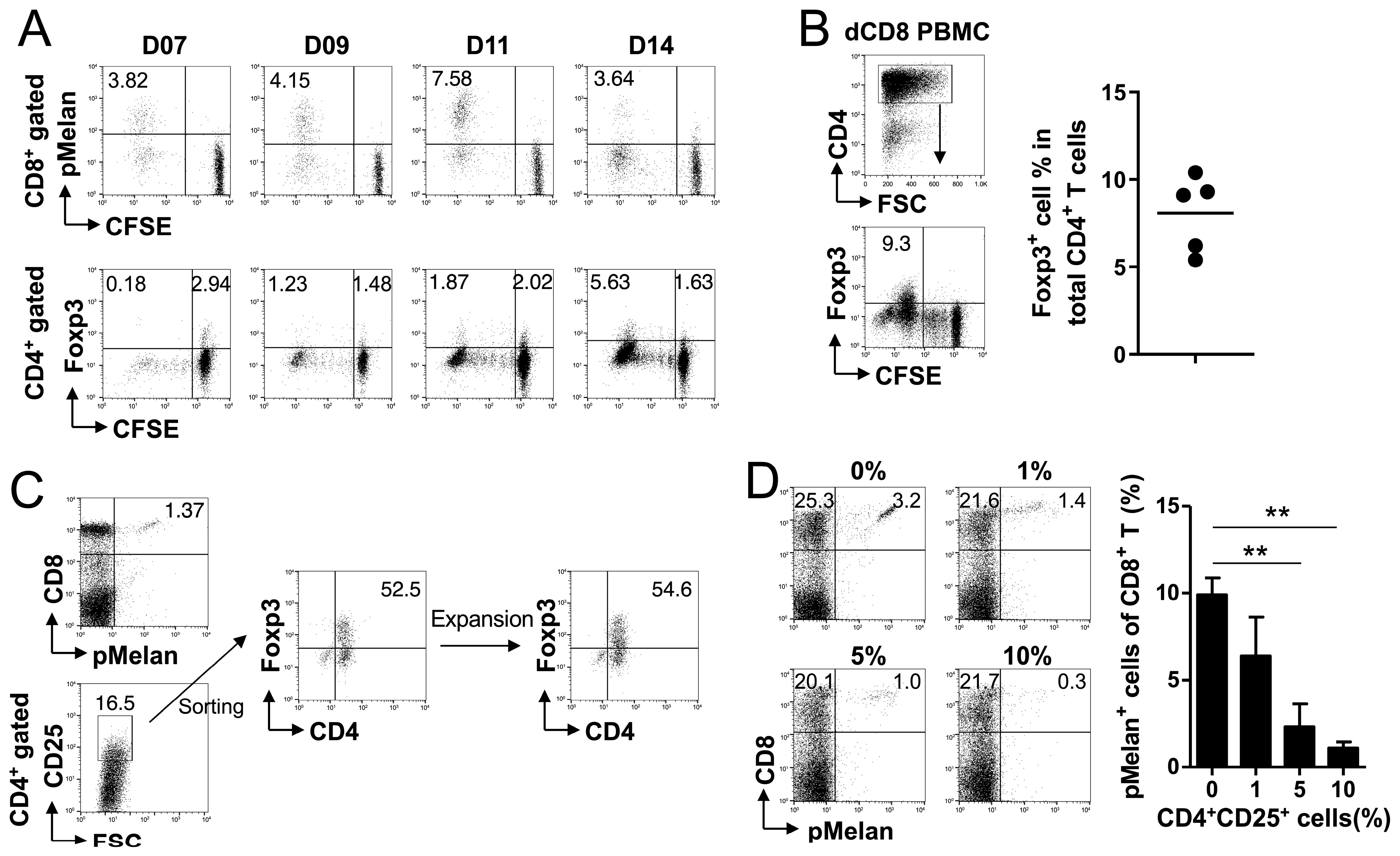 Ijms 24 13672 g003 Ijms 24 13672 g003