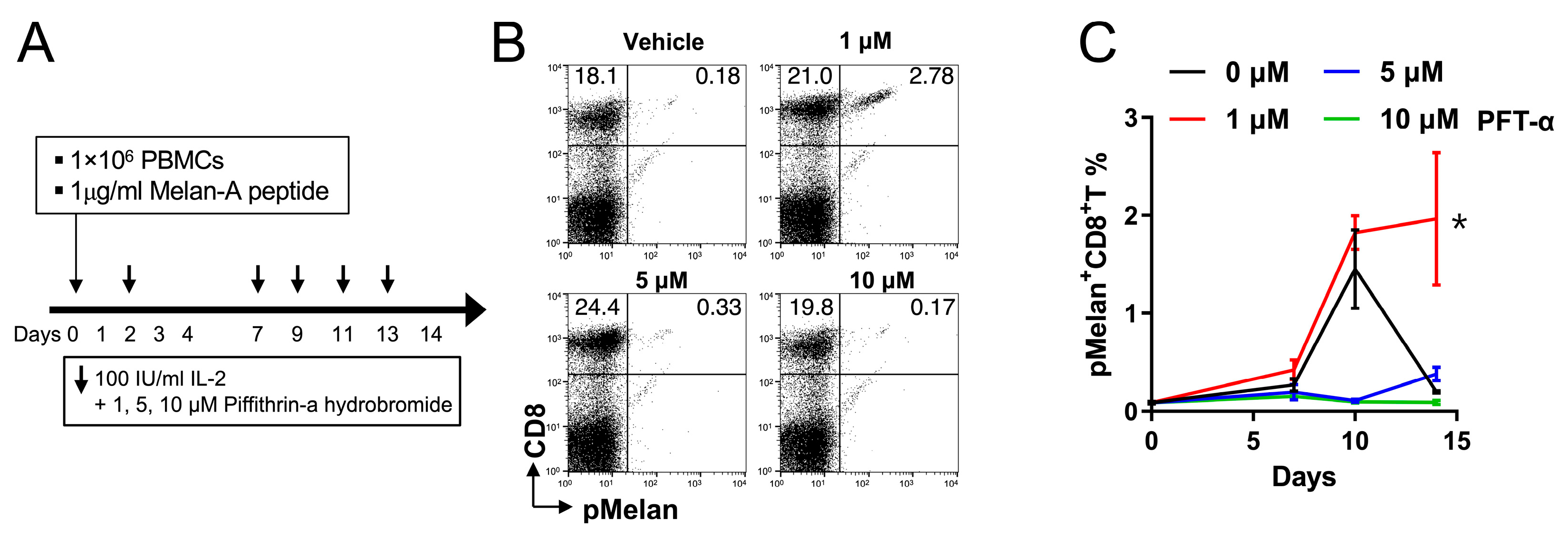 Ijms 24 13672 g005 Ijms 24 13672 g005