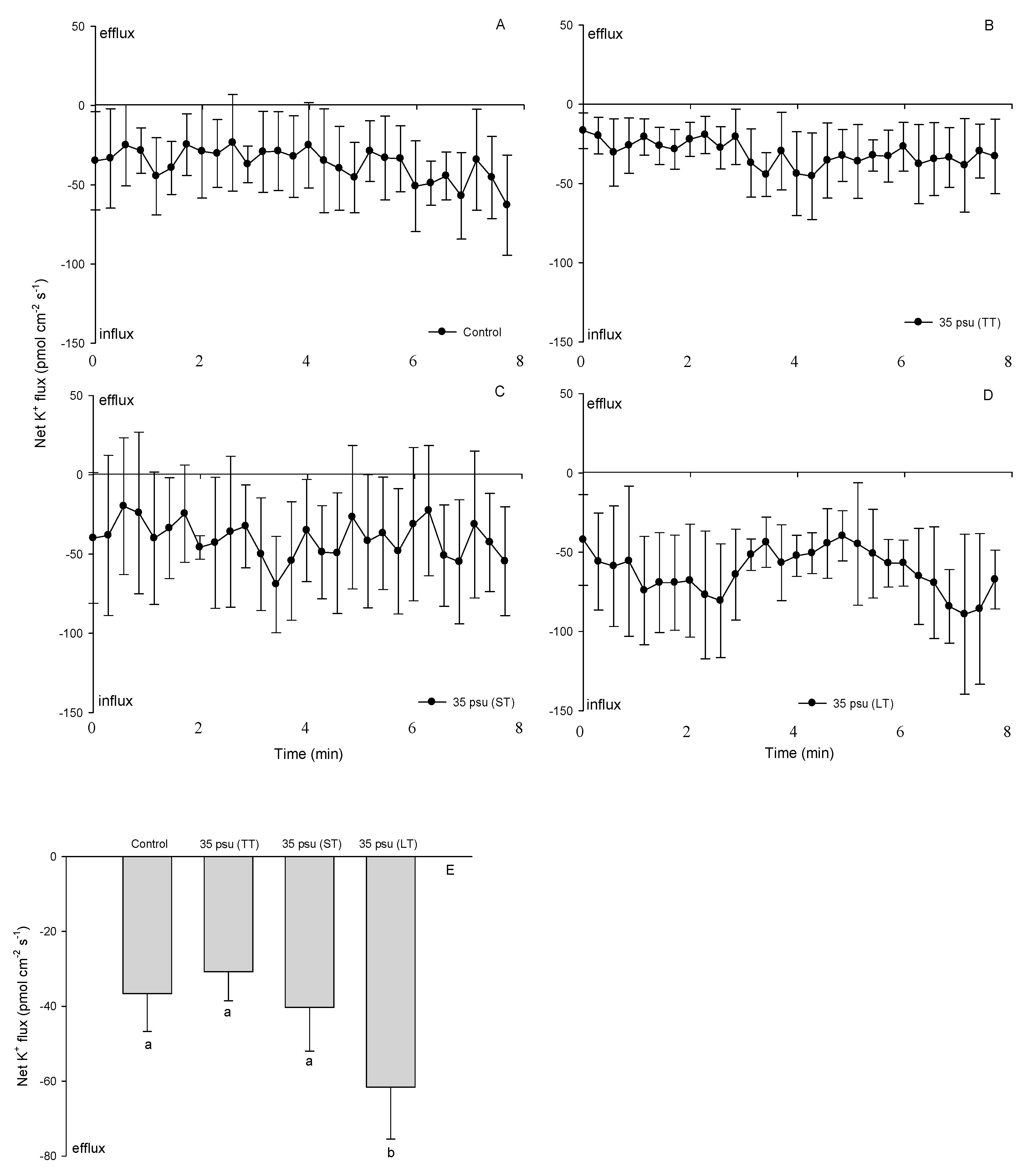 Ijms 24 13683 g005 Ijms 24 13683 g005