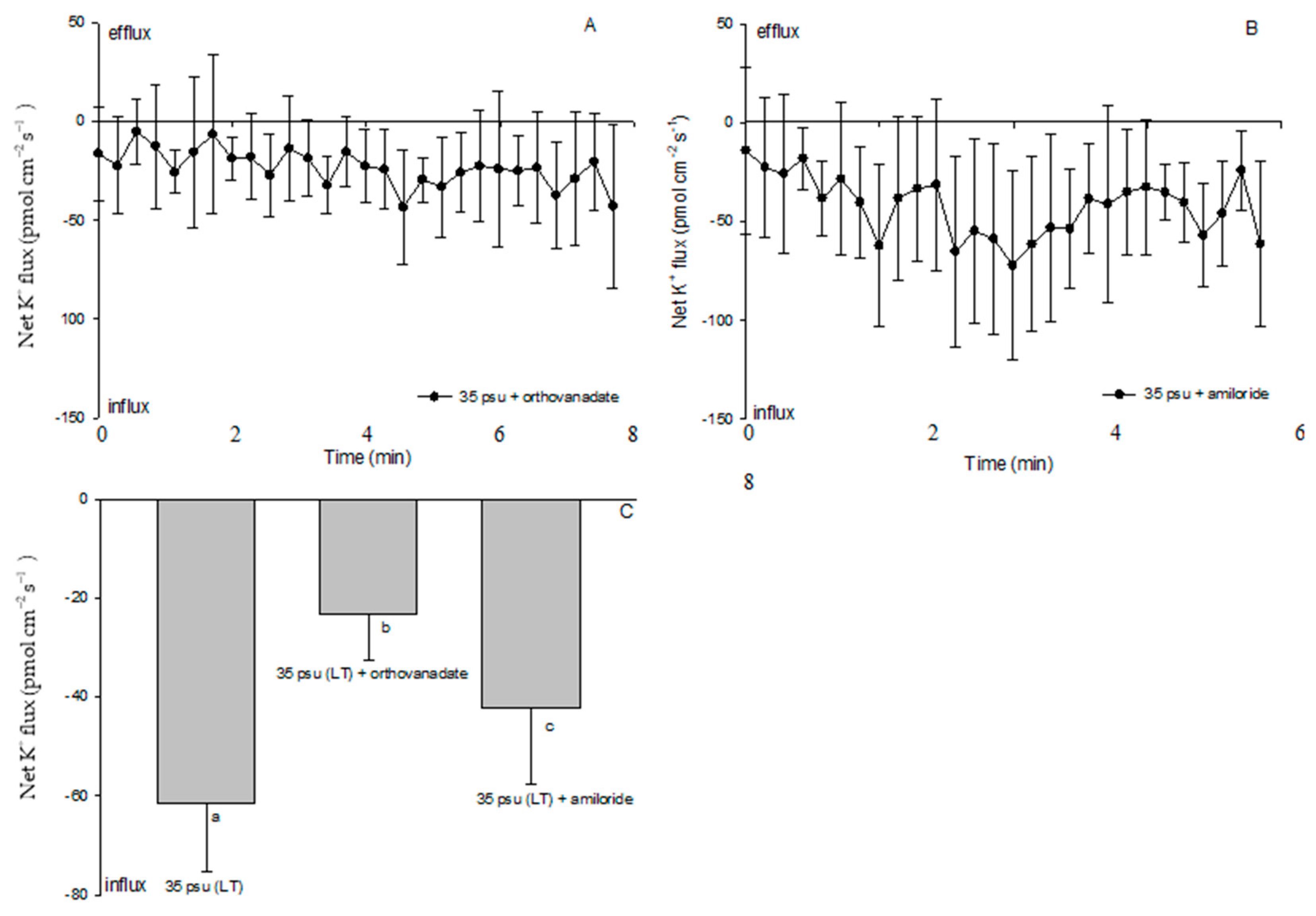 Ijms 24 13683 g007 Ijms 24 13683 g007