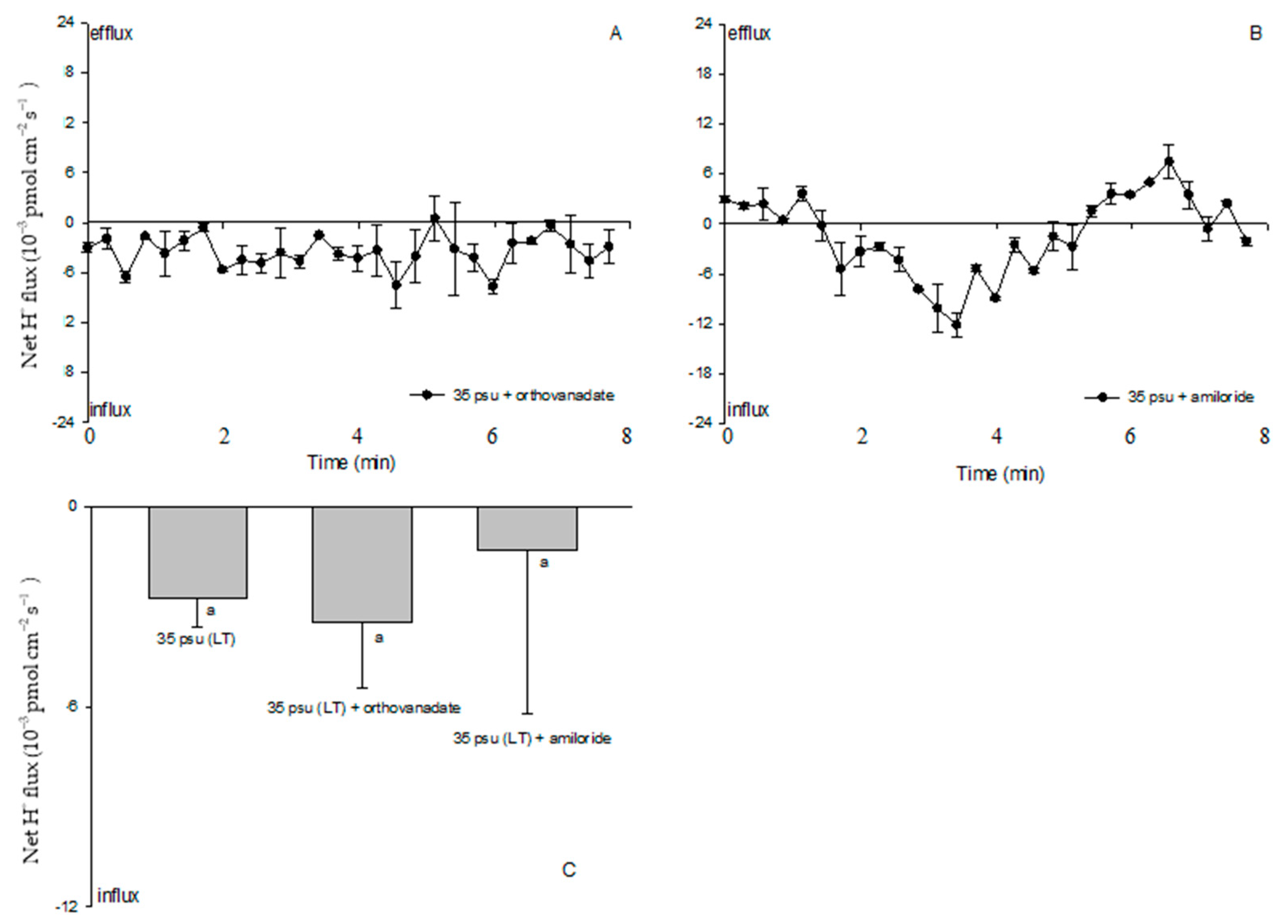 Ijms 24 13683 g008 Ijms 24 13683 g008