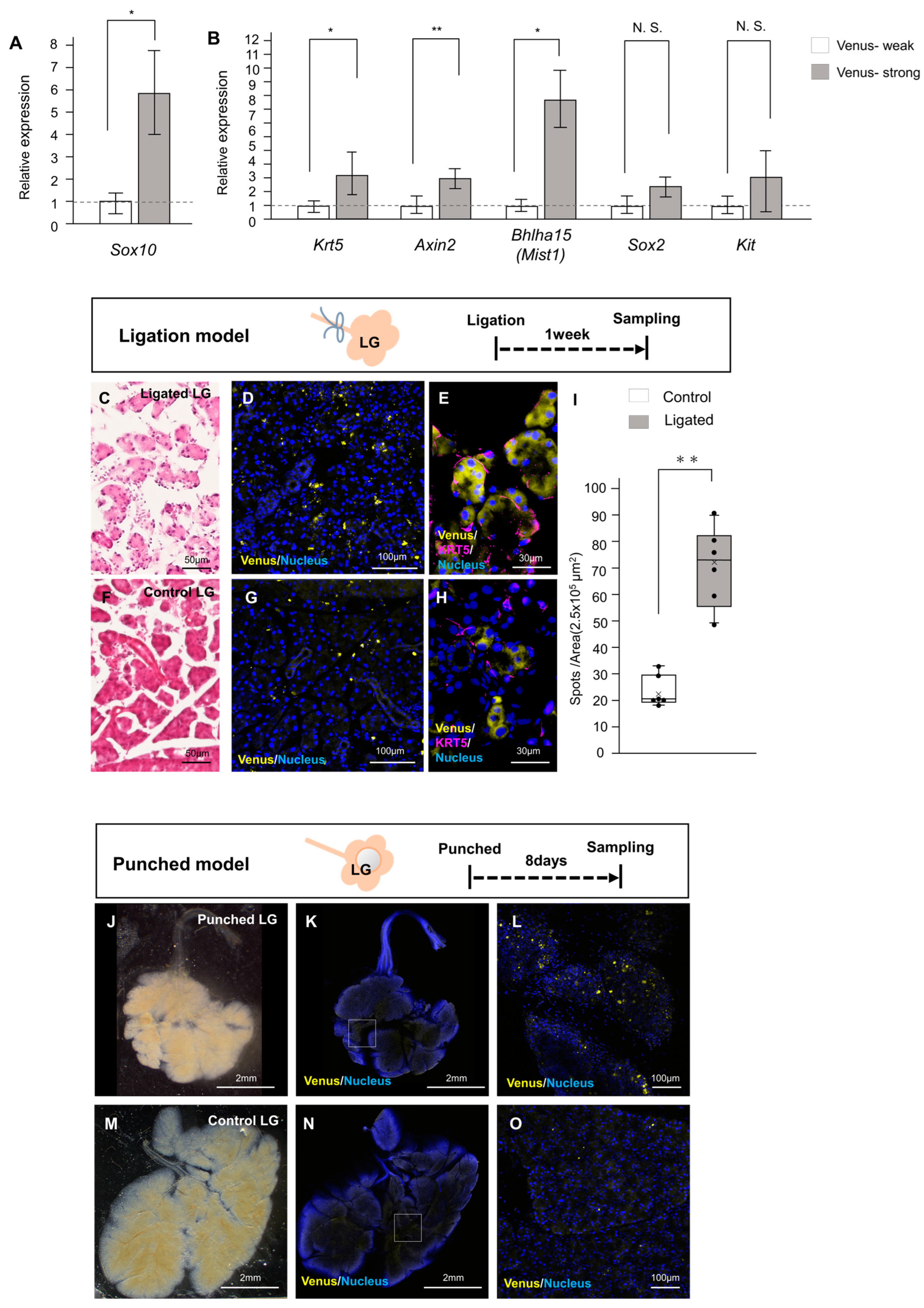 Ijms 24 13692 g004 Ijms 24 13692 g004